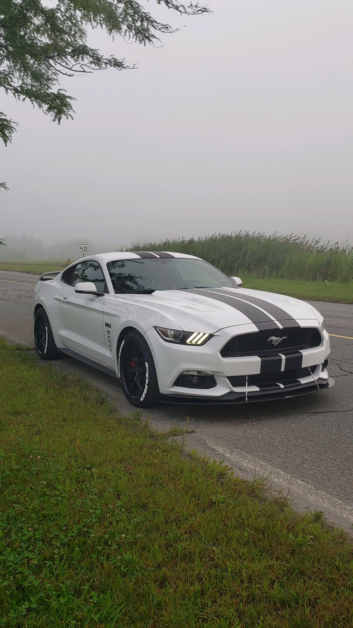#Ford #Mustang