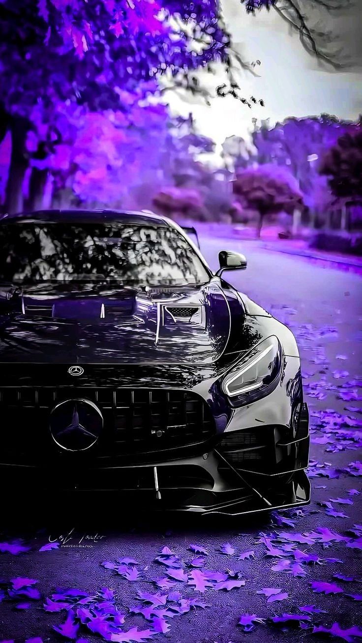 #Purple #Leaf #Drive #MercedesBenz #Wallpaper