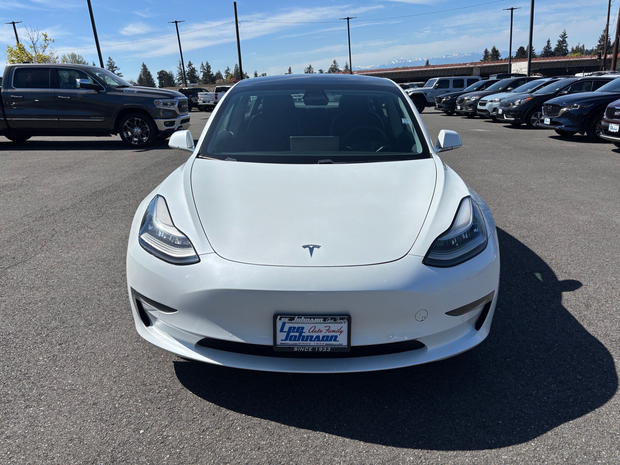 #Tesla #Model #Standard #Range