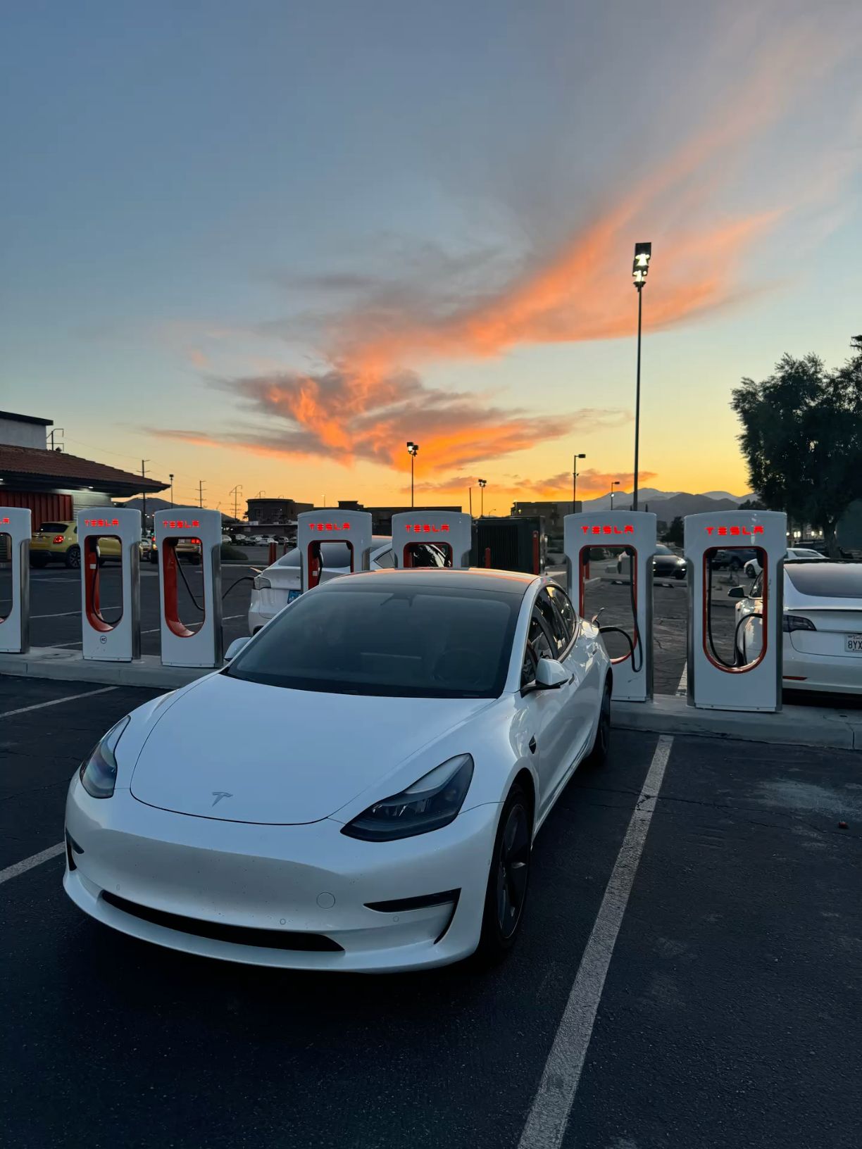 #Tesla #model