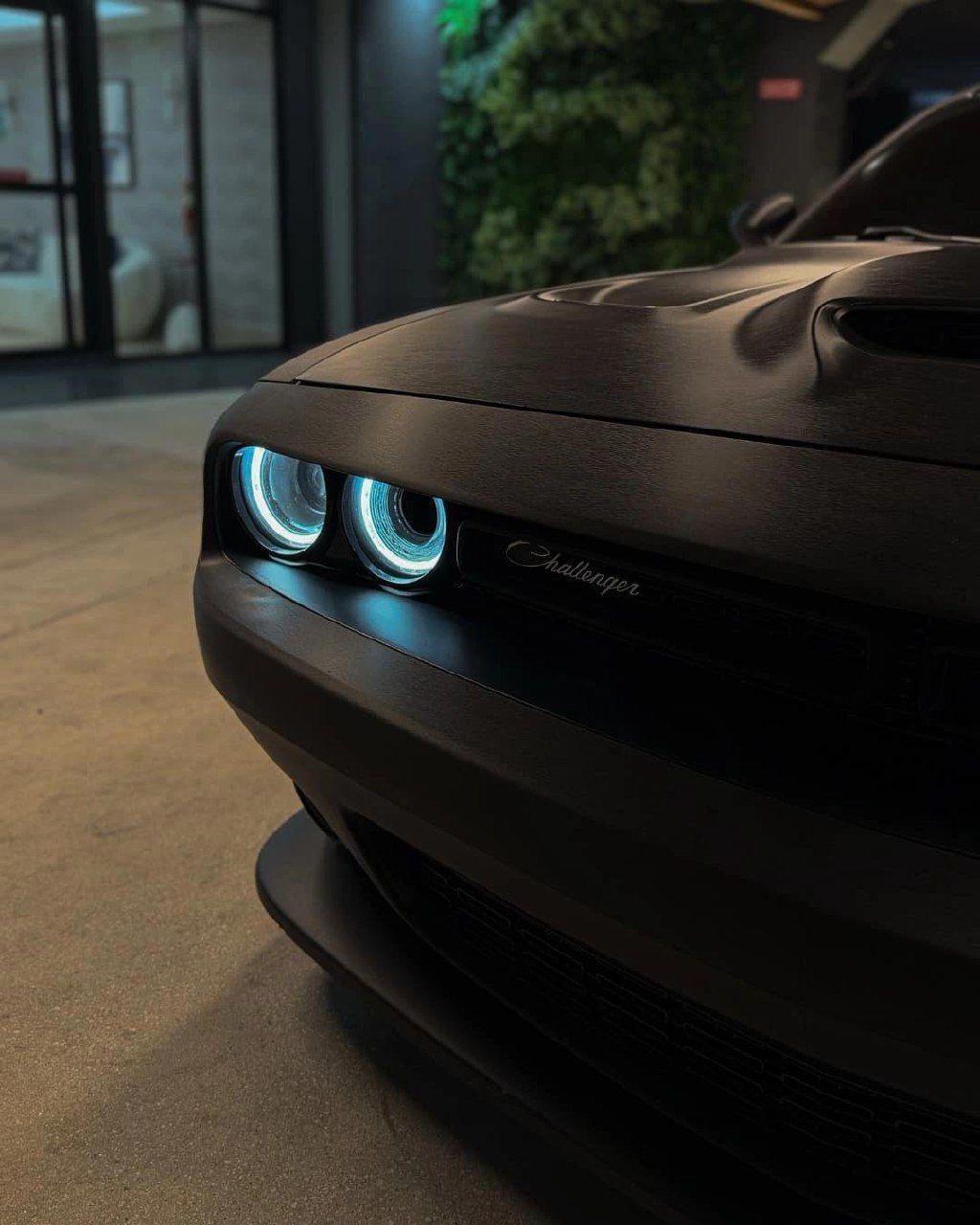 #dodge