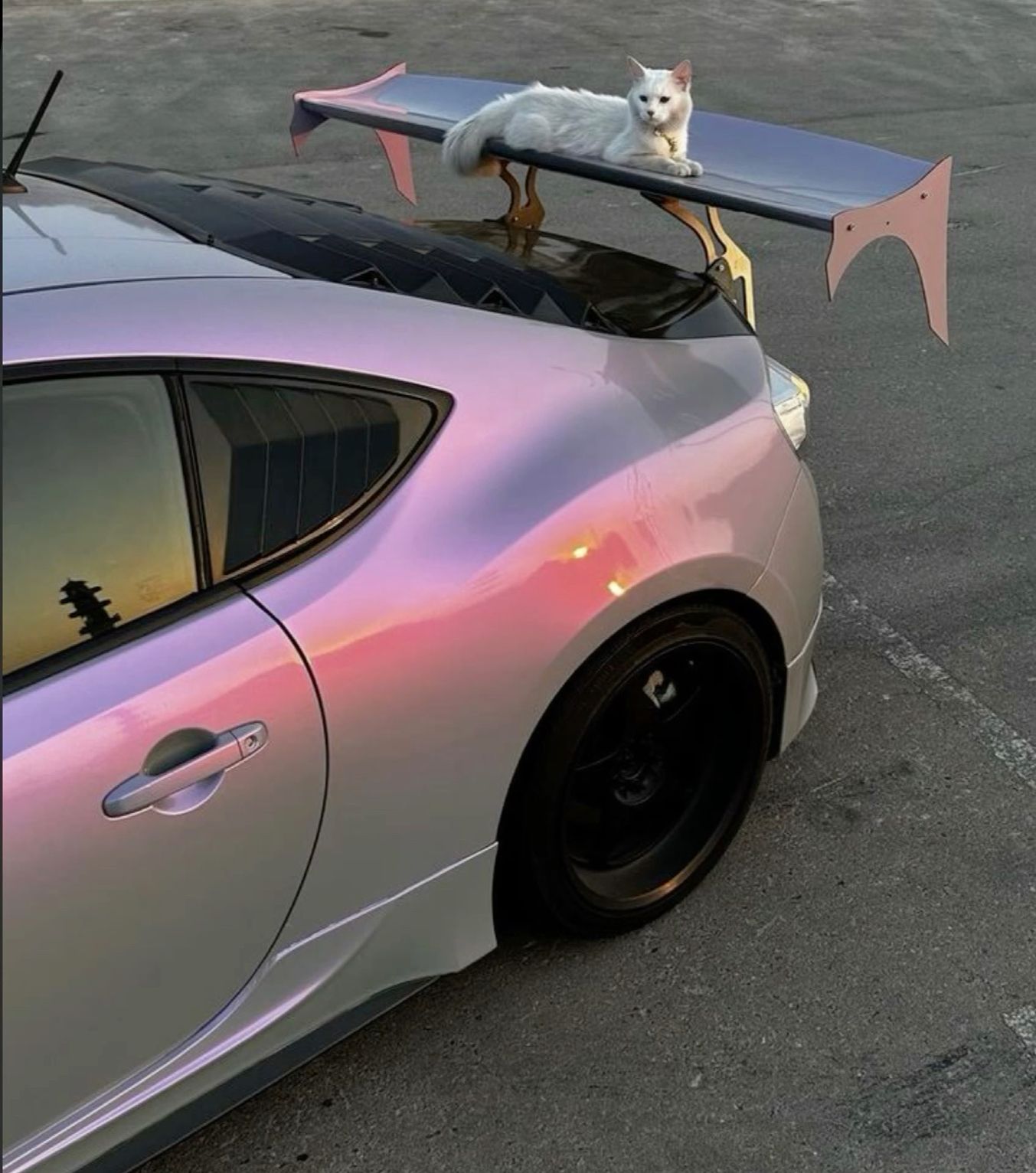 Untitled post 7480