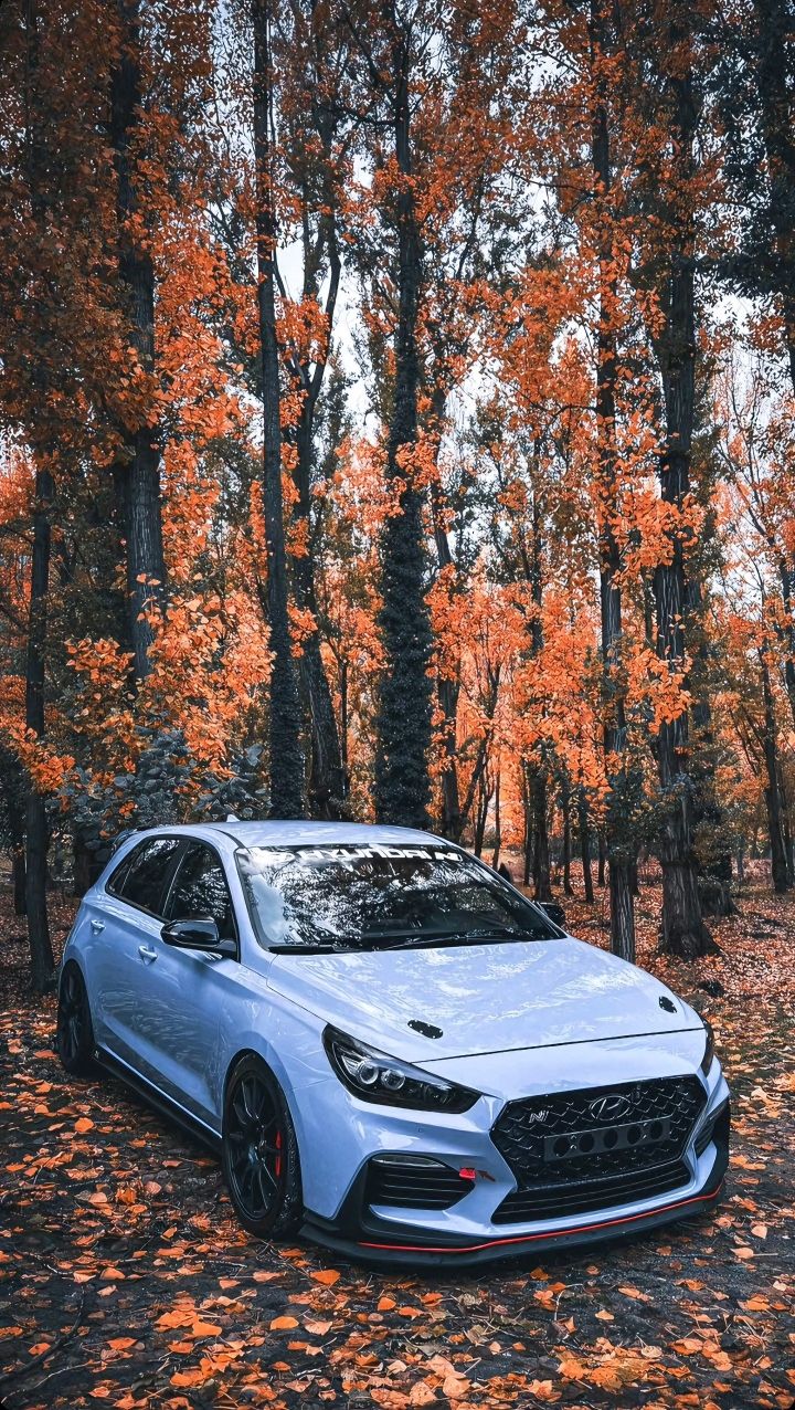 #Hyundai #i30N #Performance #depths #forest