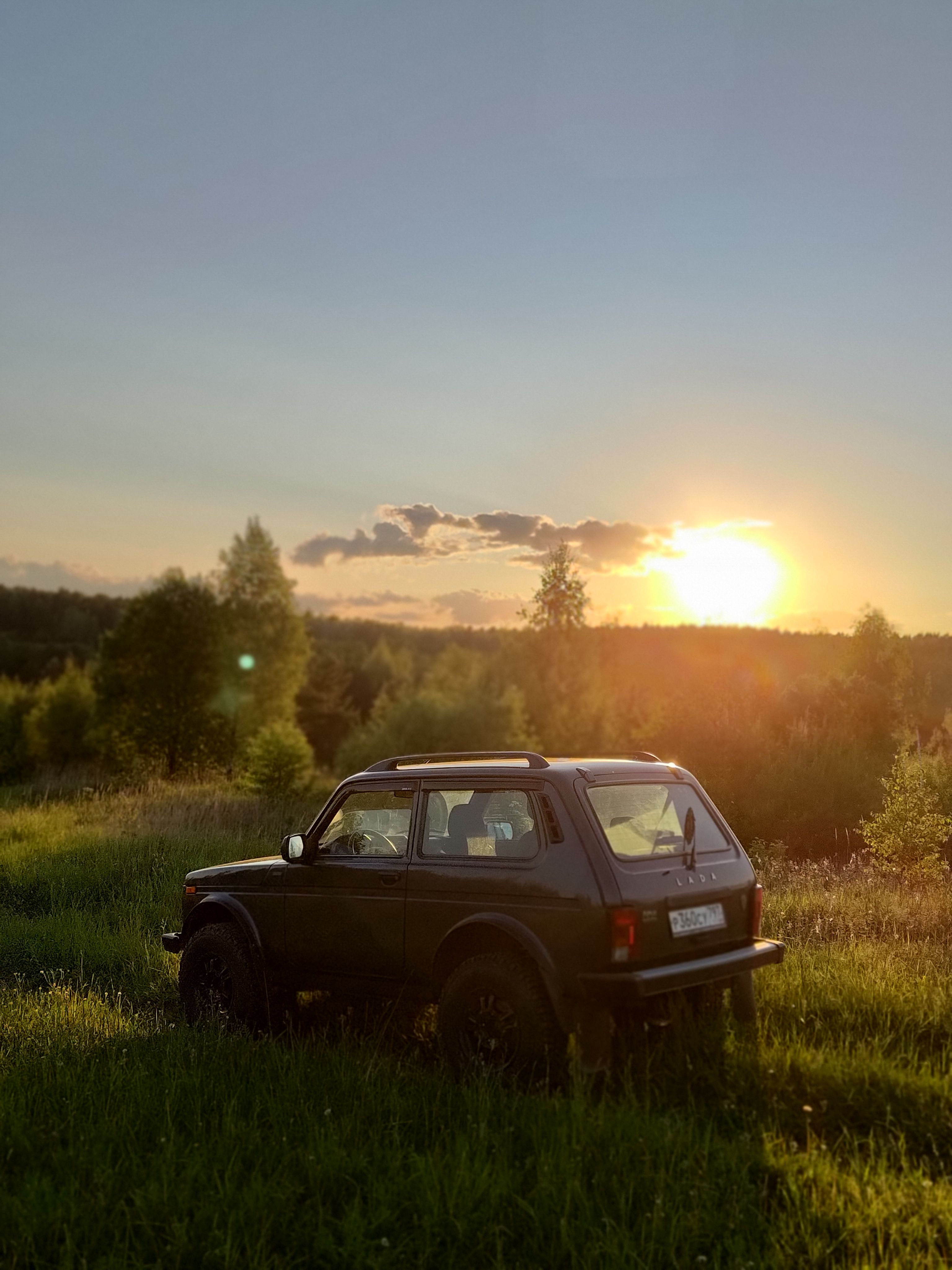 niva legend Bronto