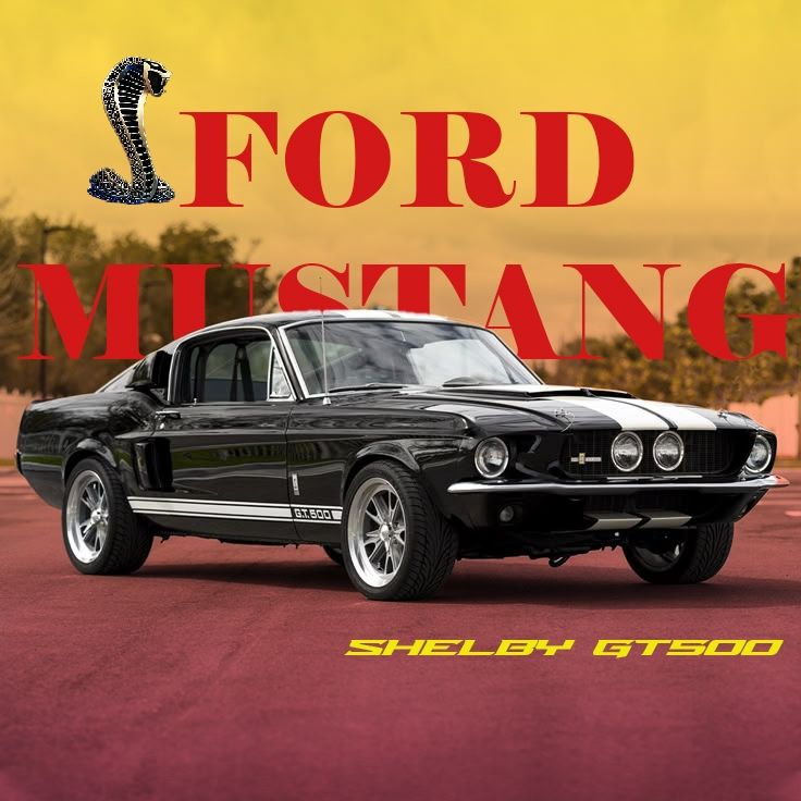 #Ford #Mustang #Shelby #Vintage #Vibes