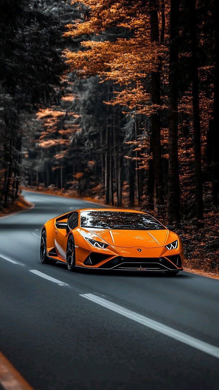 #Lamborghini #Lifestyle #Pure #Power #Pure #Passion