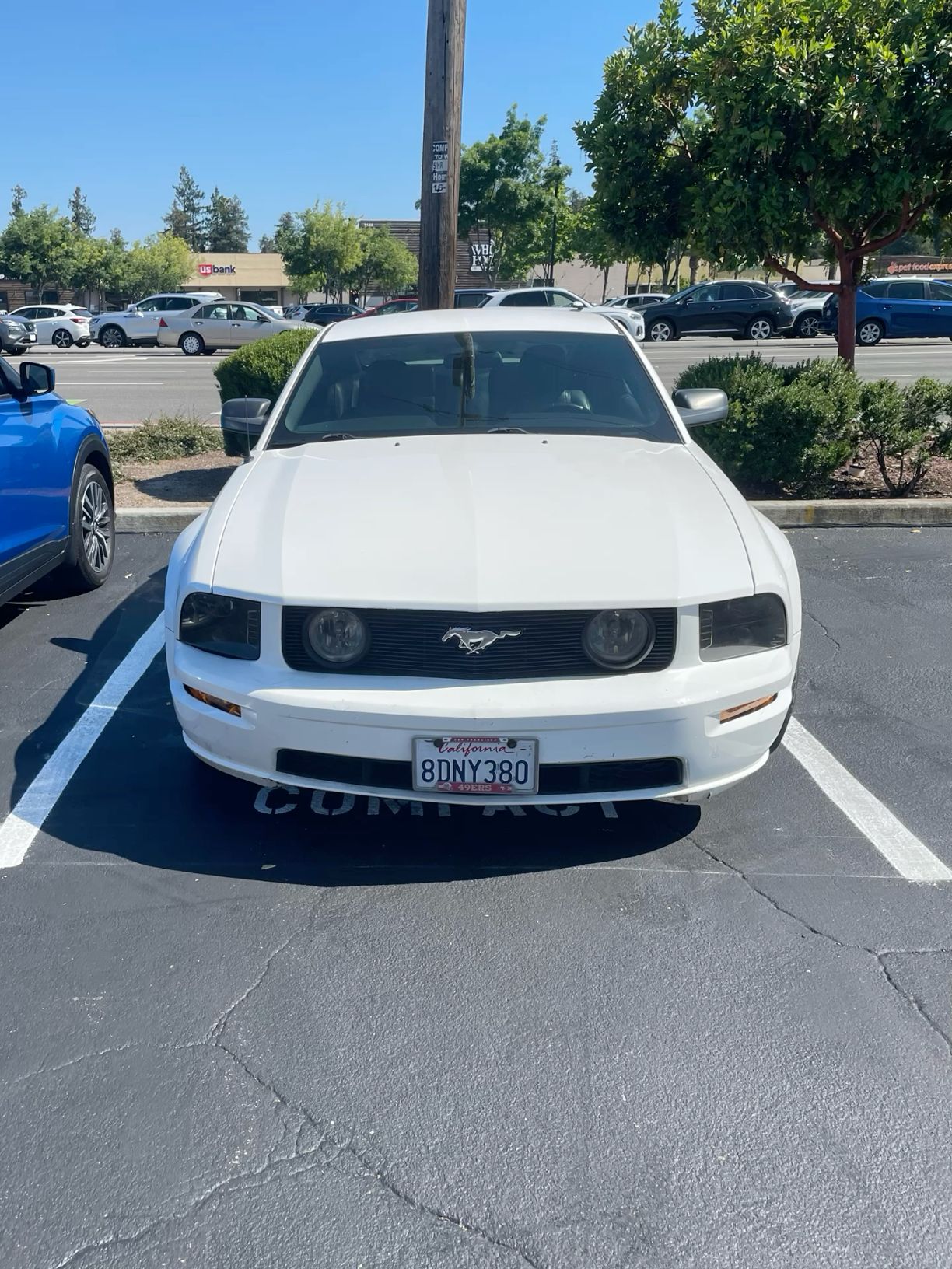 #Mustang