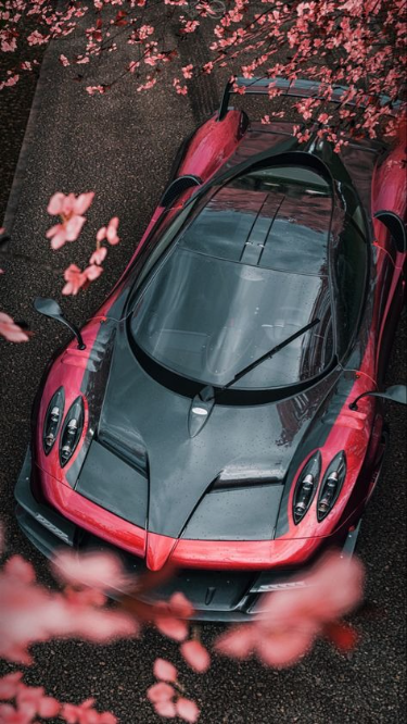 #Pagani #Huayra
