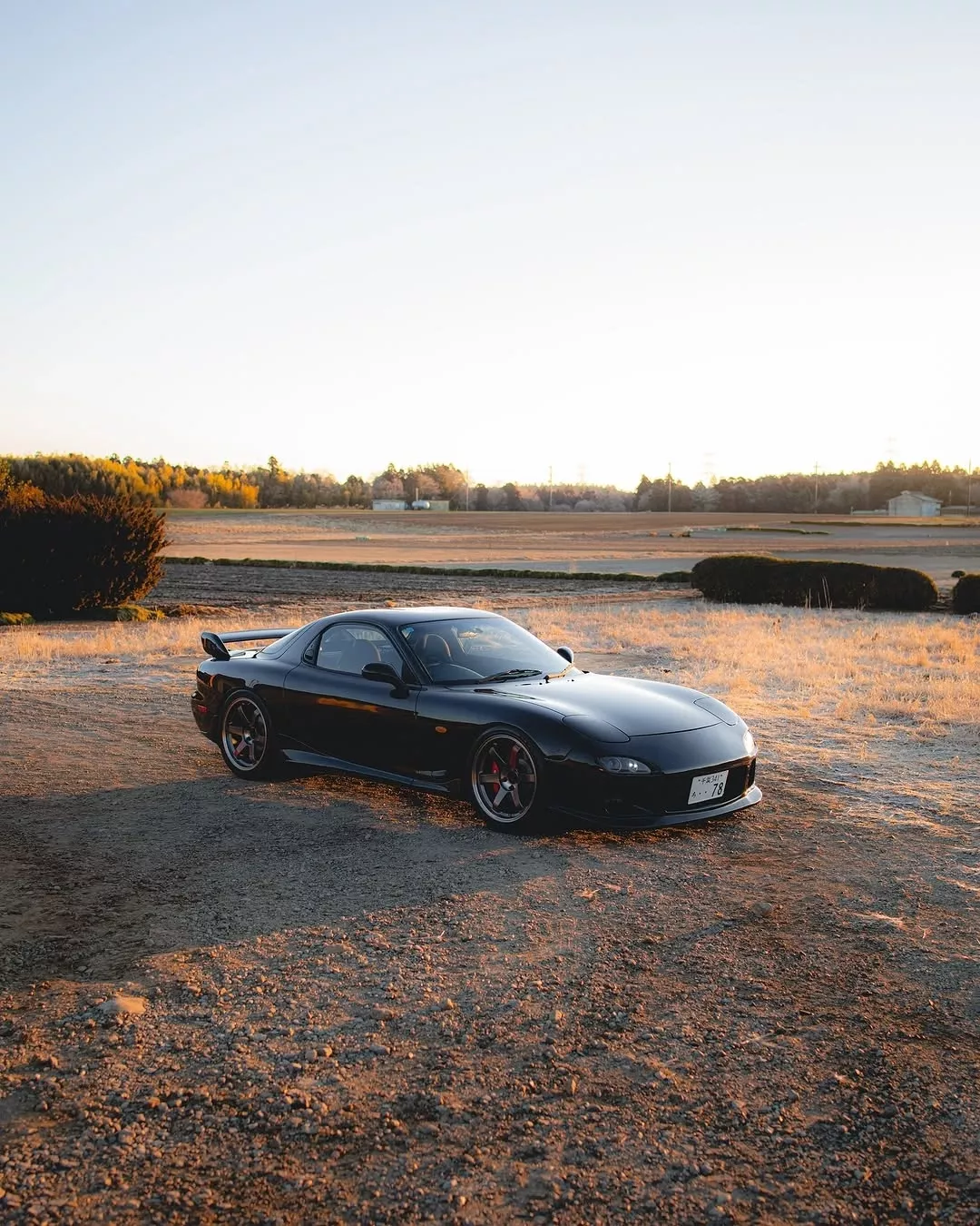 #RX7