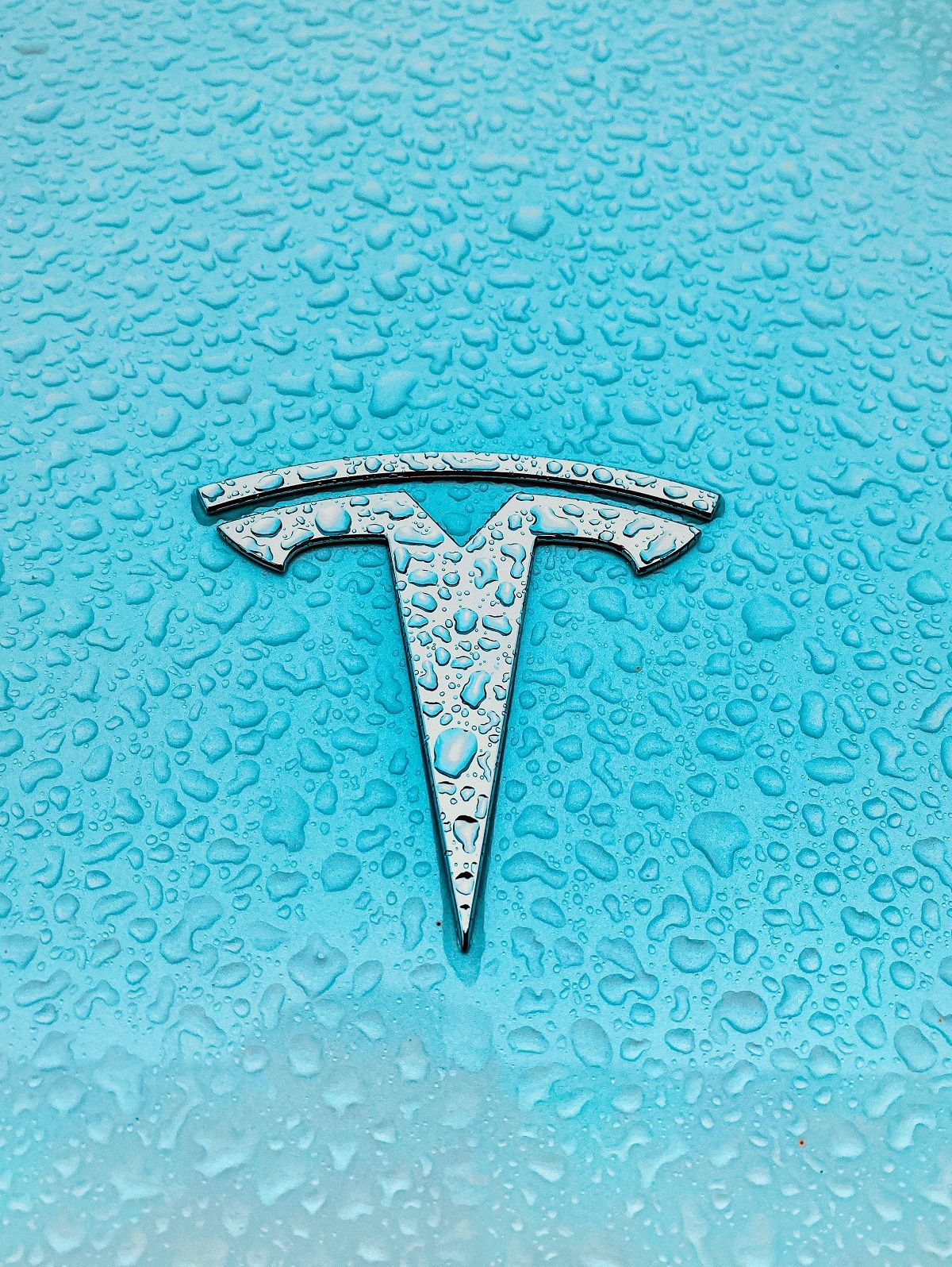 #favorite #Tesla #model