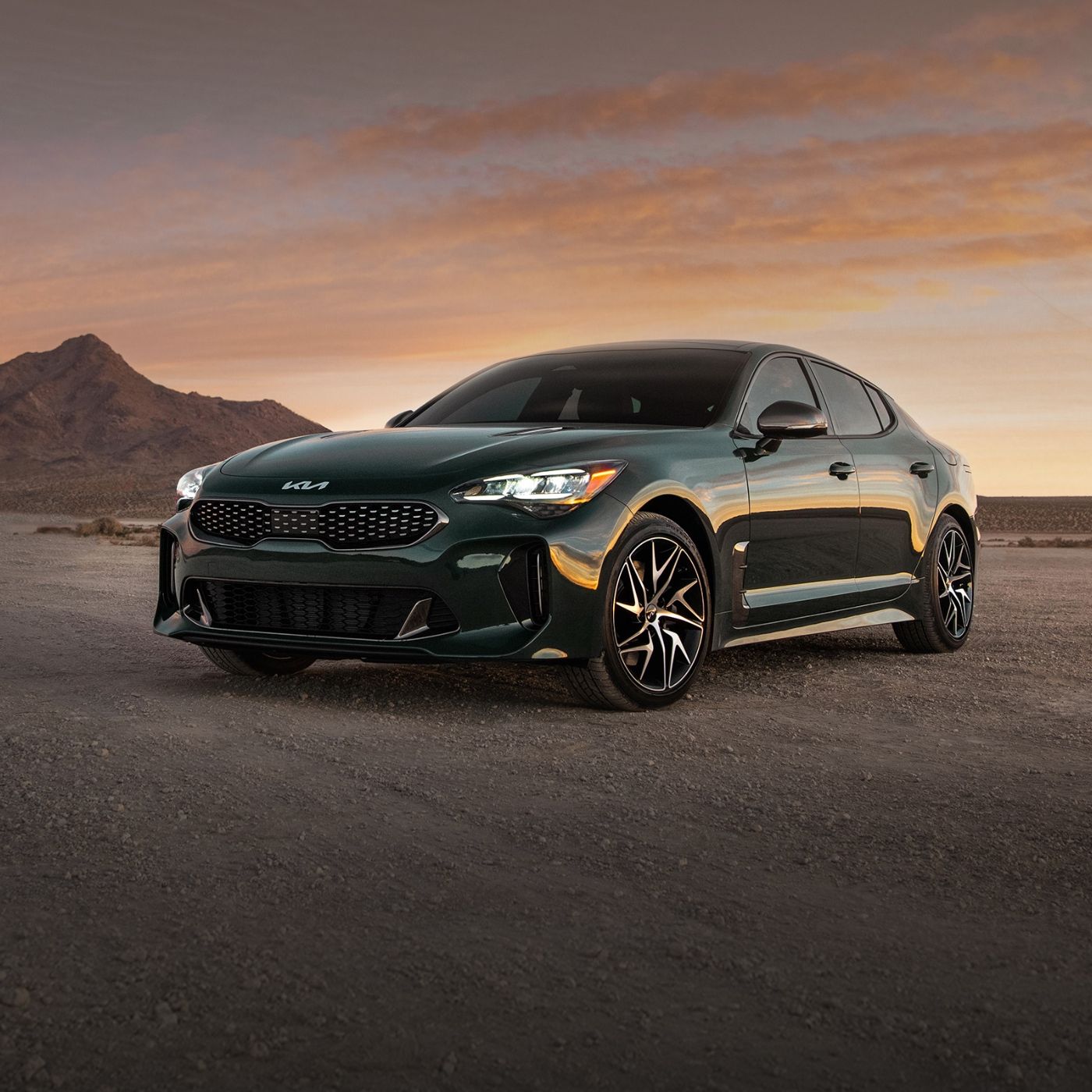 #SUVs #Sedans #Sports #Cars #Hybrids #EVs #Luxury #Cars