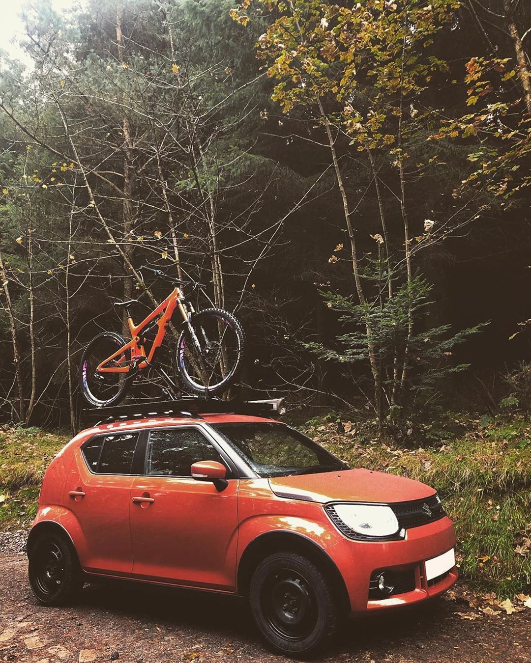 #Suzuki