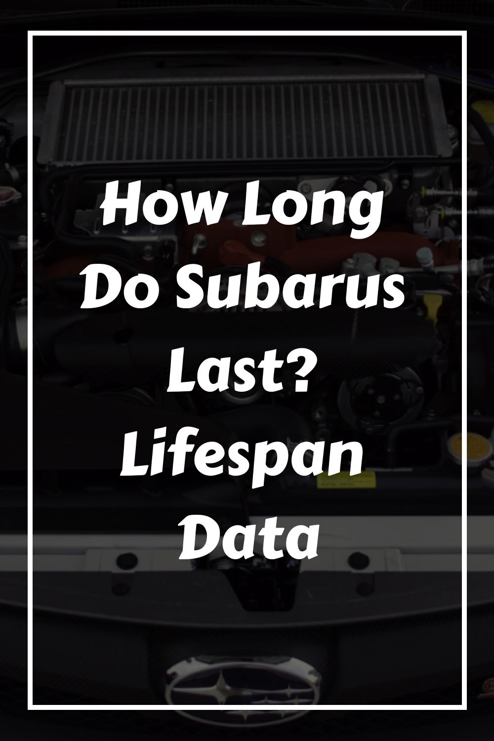 #Long #Subarus #Lifespan #Data