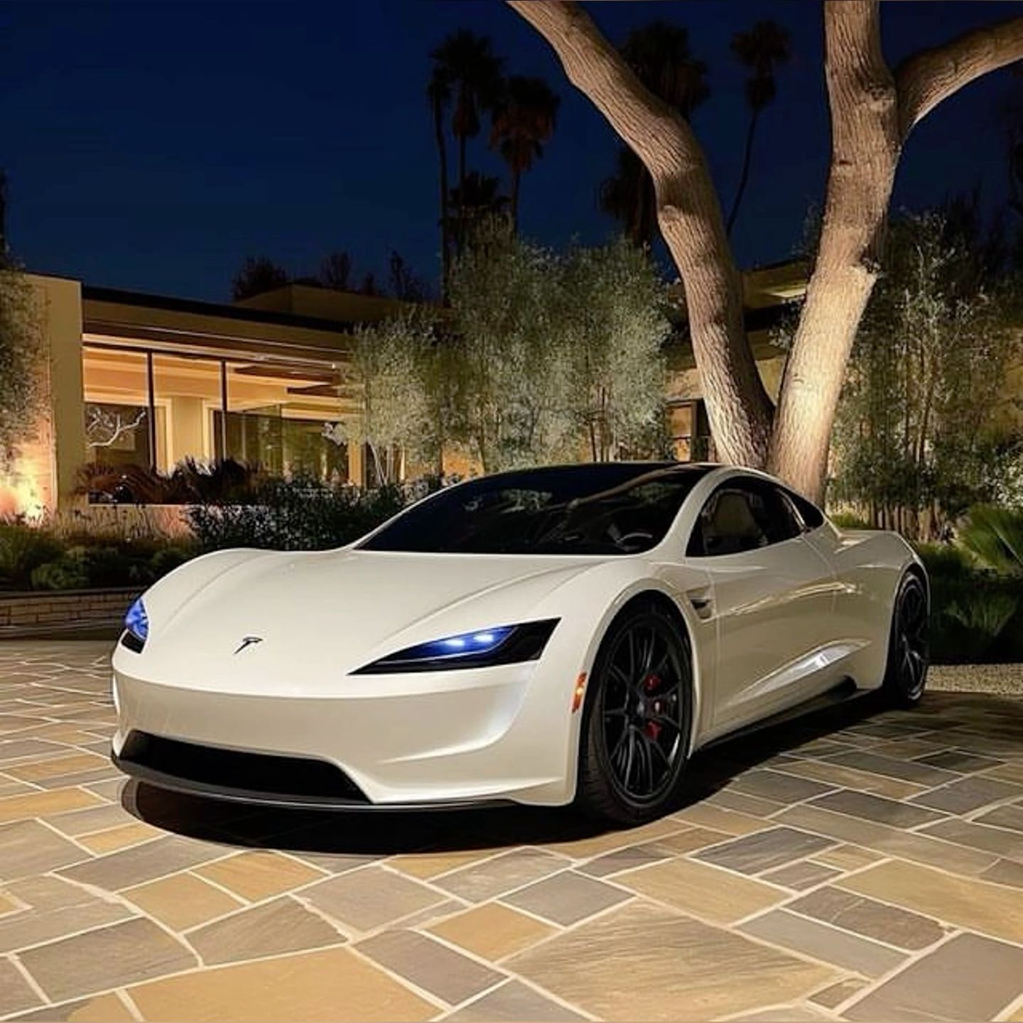 #White #Tesla