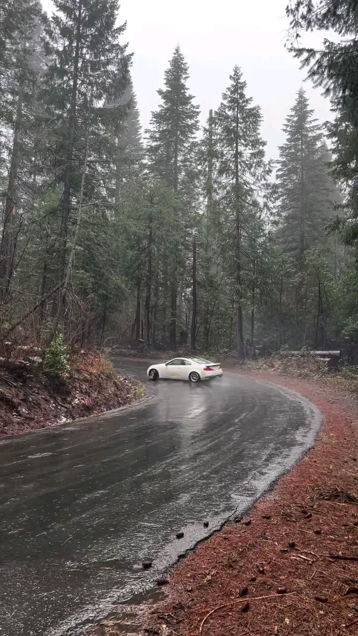 #woods