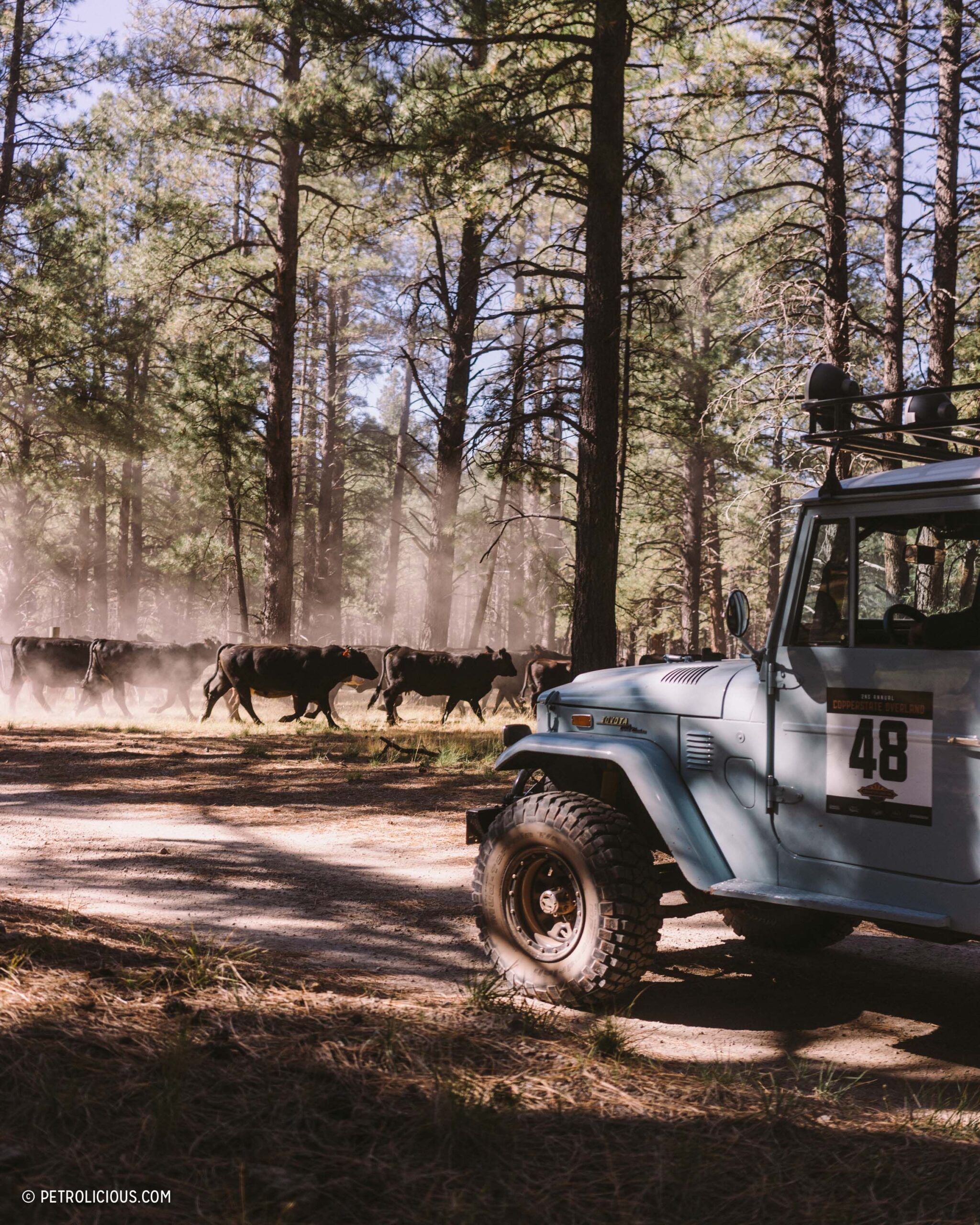#Copperstate #Overland #4x4 #Adventure #Year