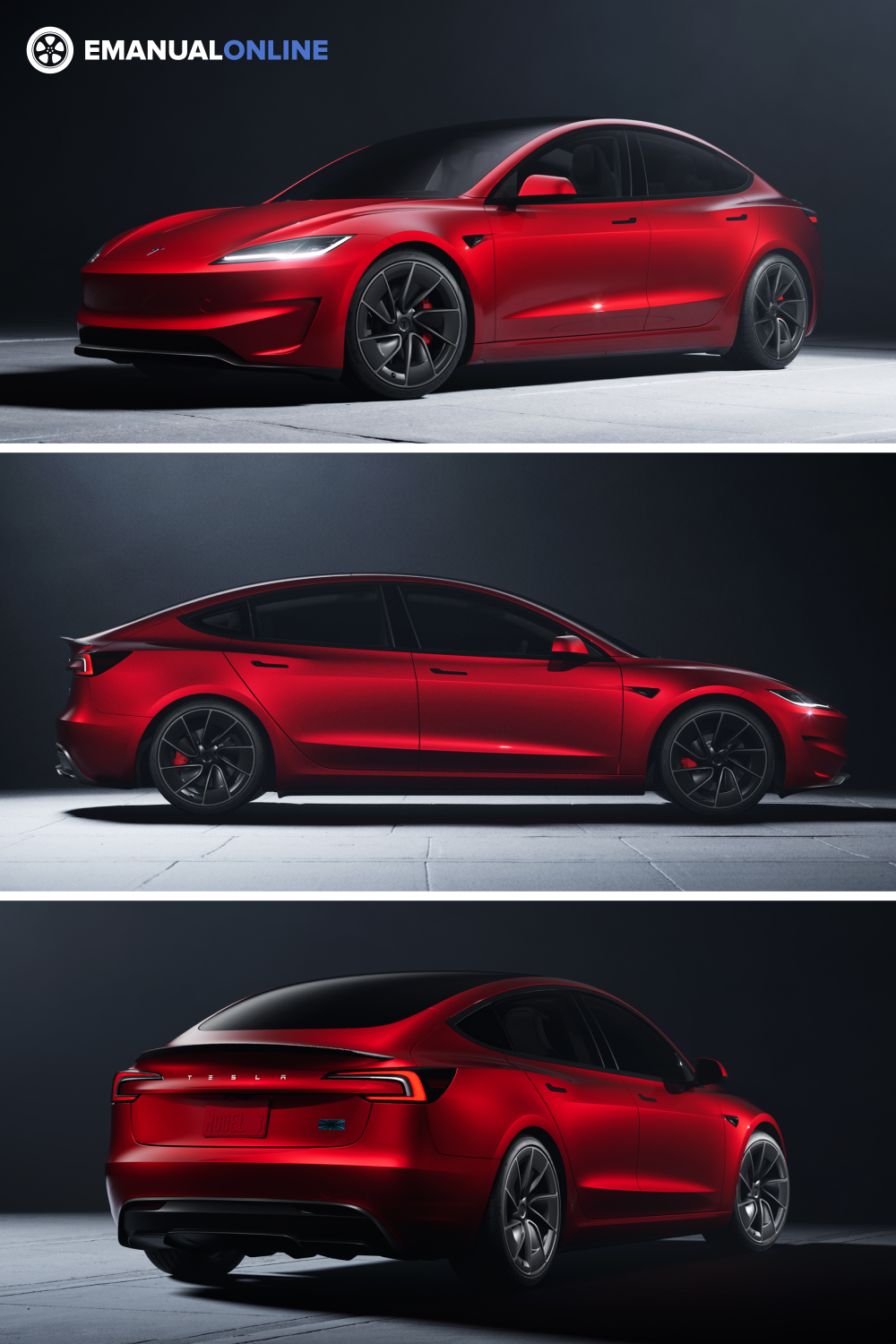 #Tesla #Model #Performance #Perfect #Daily #Driver