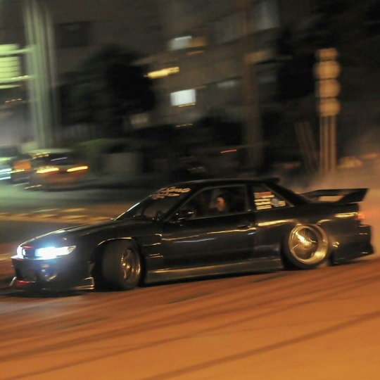 #WanganFish