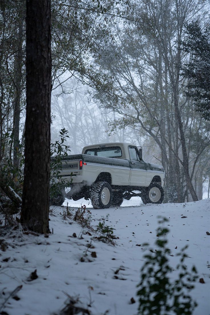 #Classic #Ford #F250 #Confident #Snow