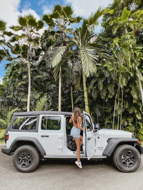 #Tara #Michelle #Wore #HAWAII