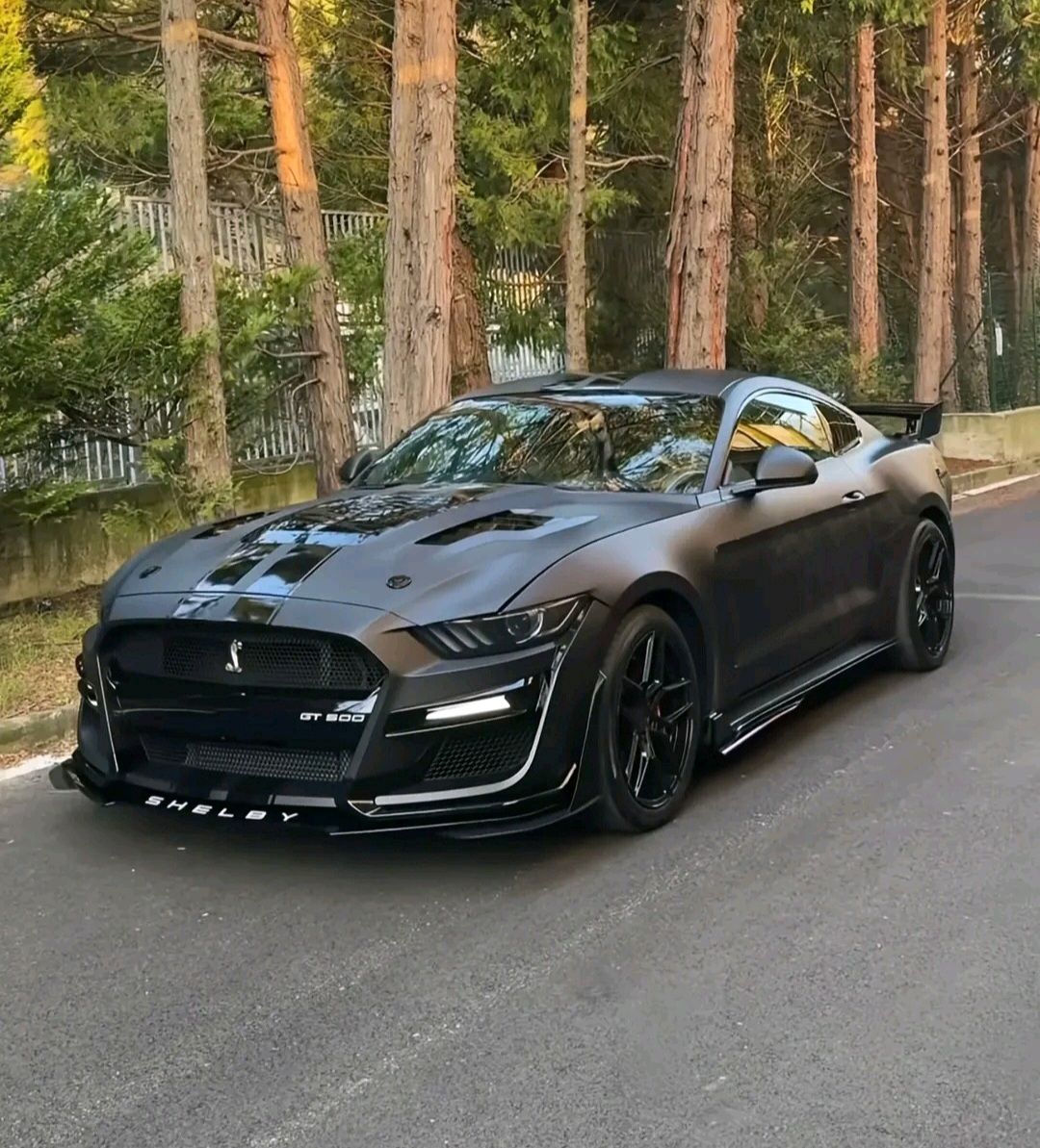 #mustang