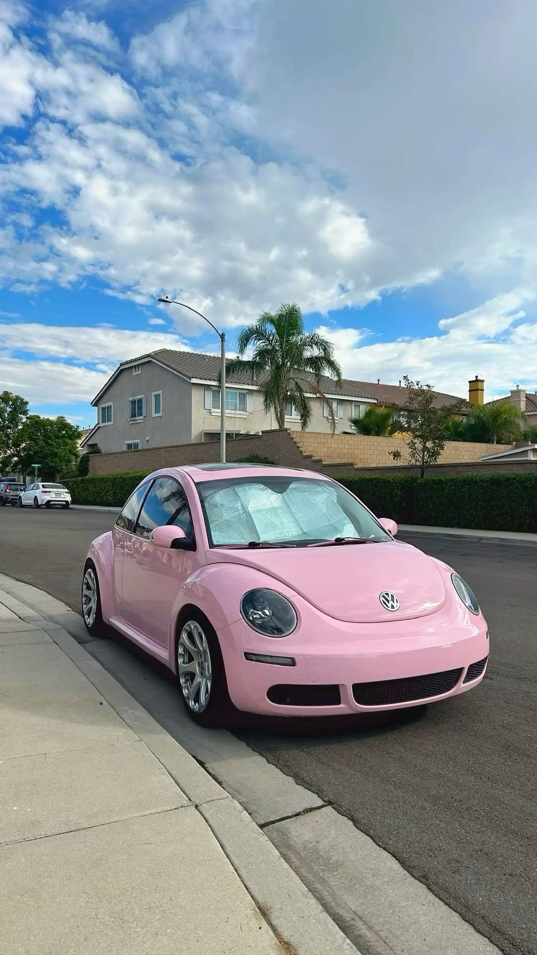 #pink #beetle