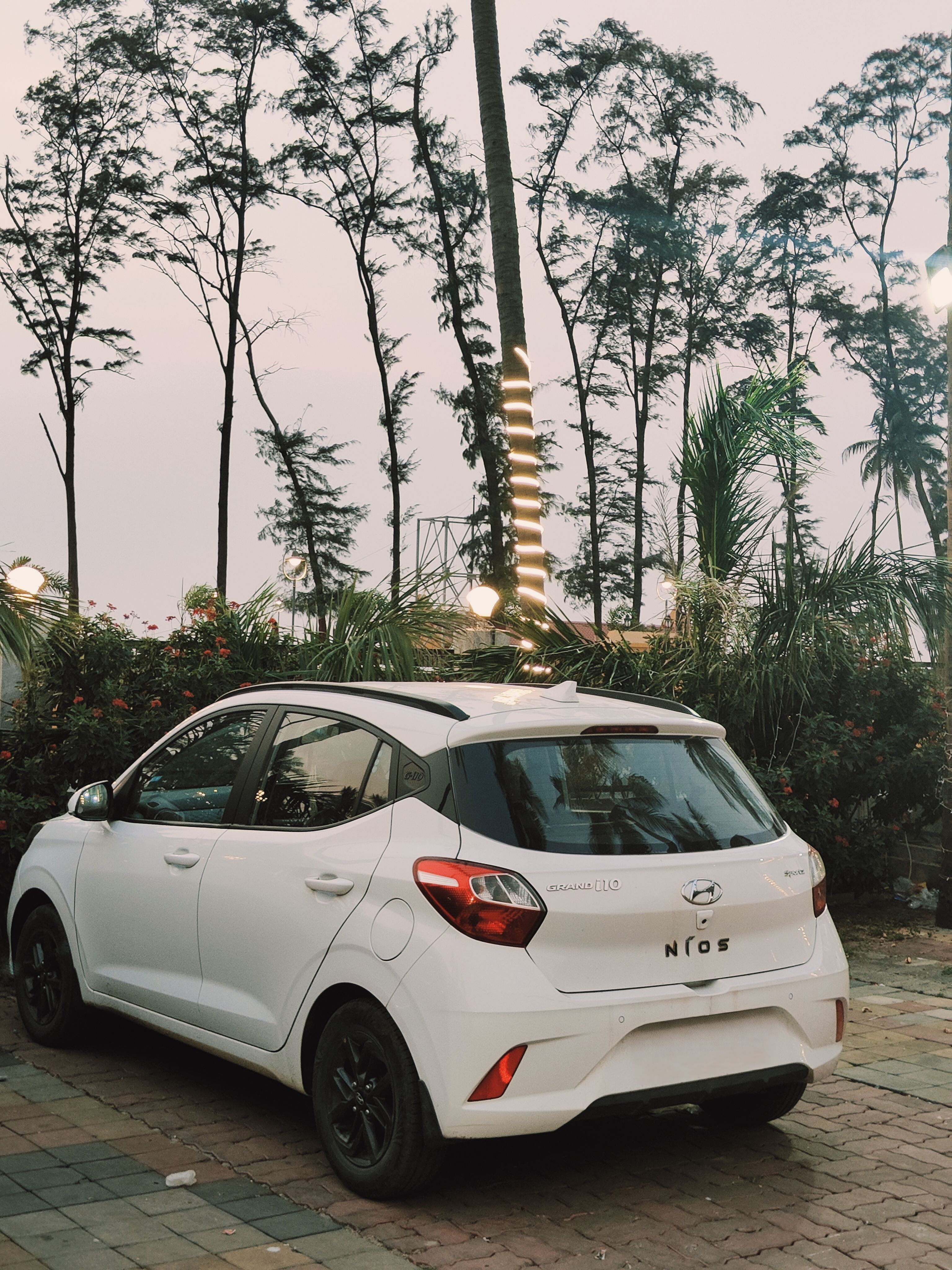 white & black :The main  Difference