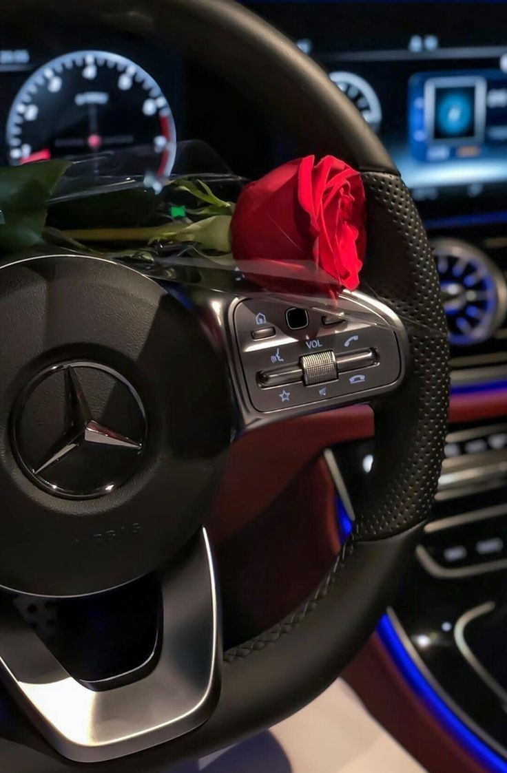 #Luxurycars #cars #cars #mercedes #luxurycars #mercedesbenz #love #trending #interior #ferrari
