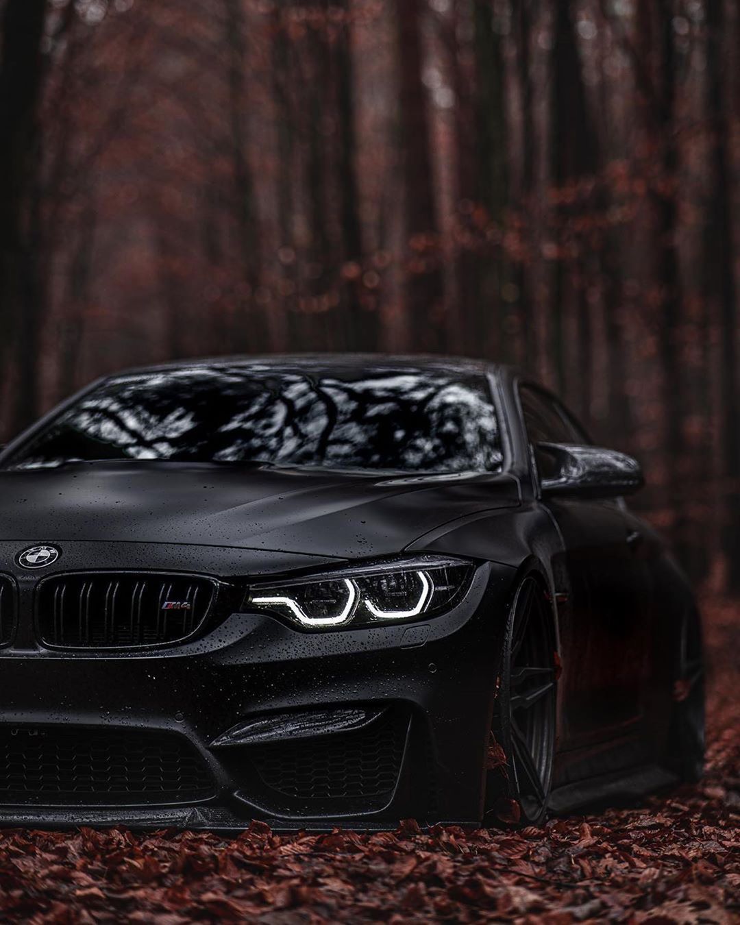 #Rise #BMW #Small #Company #Global #Icon