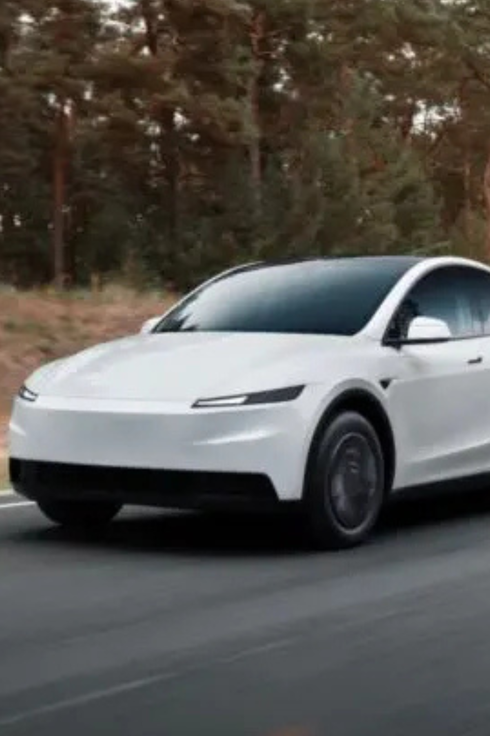 #Teslas #Model #Standard #Europe
