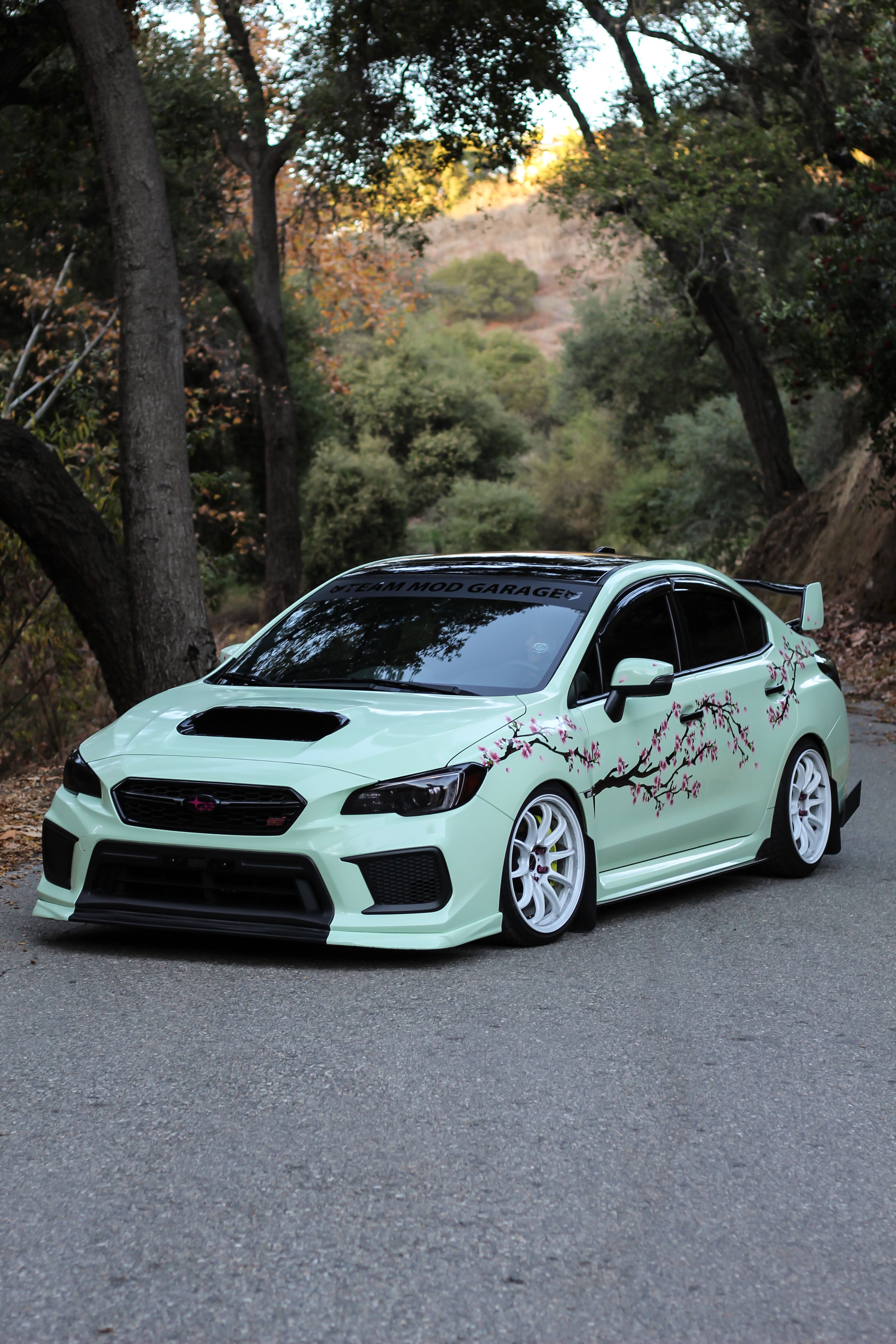 Realistic Sakura Tree Livery