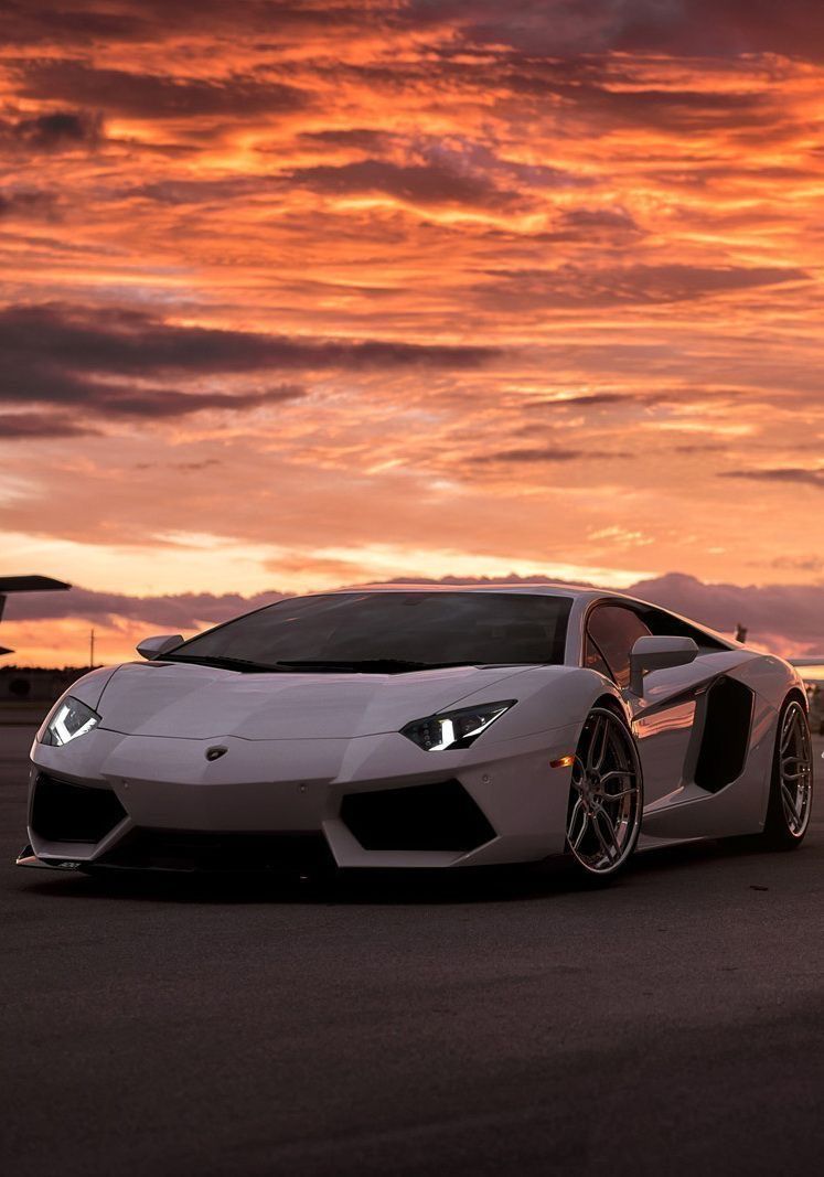 #White #Lamborghini
