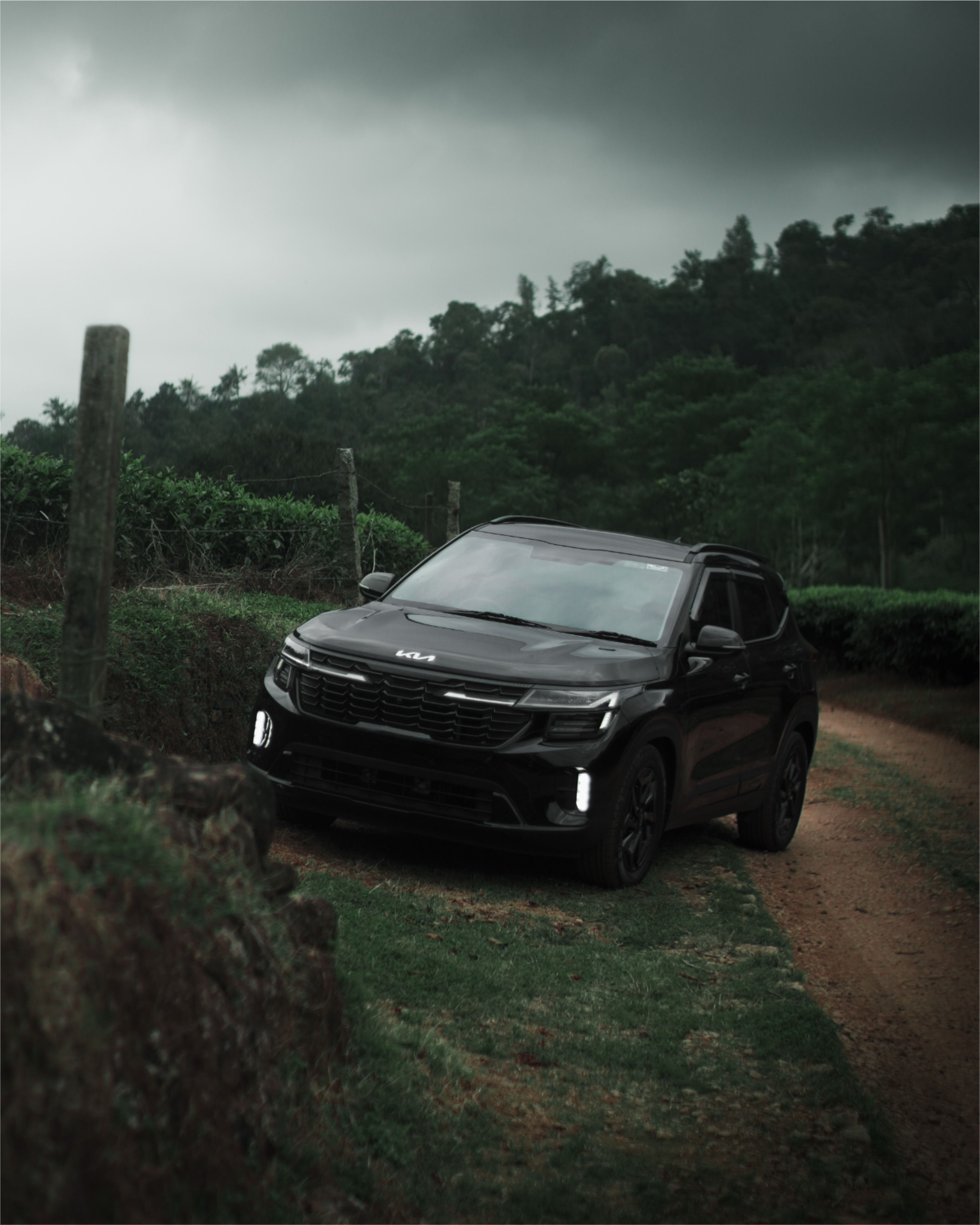 The Calm Before the Storm | KIA Seltos
