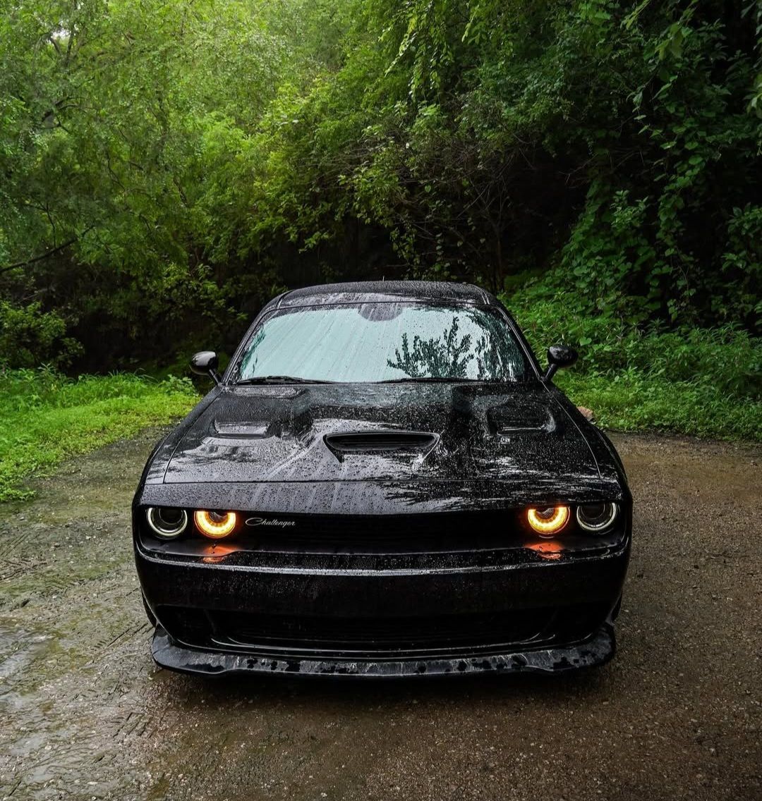 #Dodge