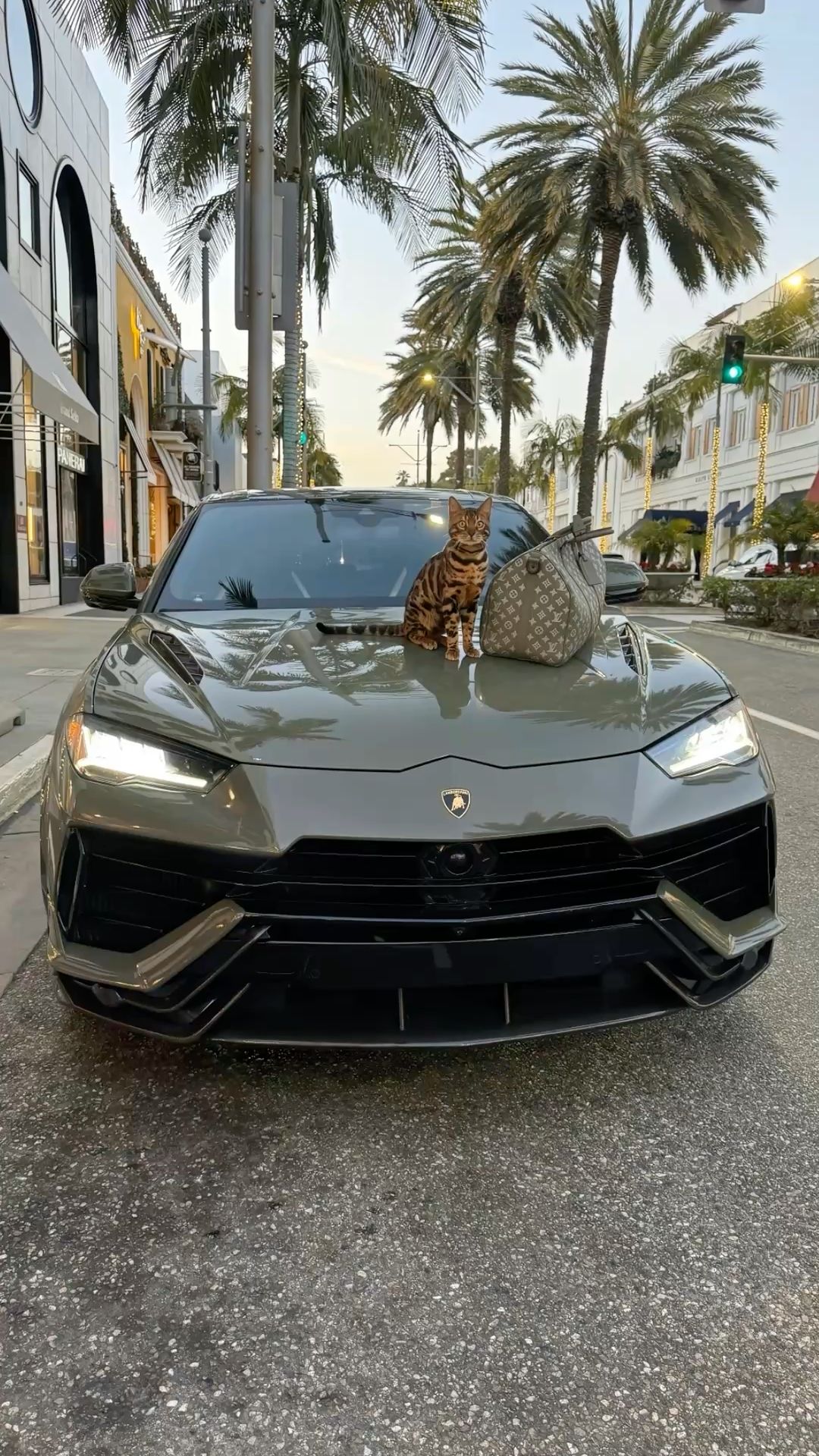 #Lamborghini
