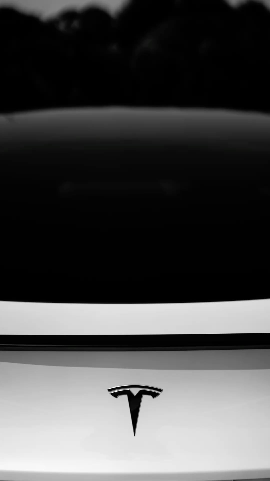 #TESLA #MODEL