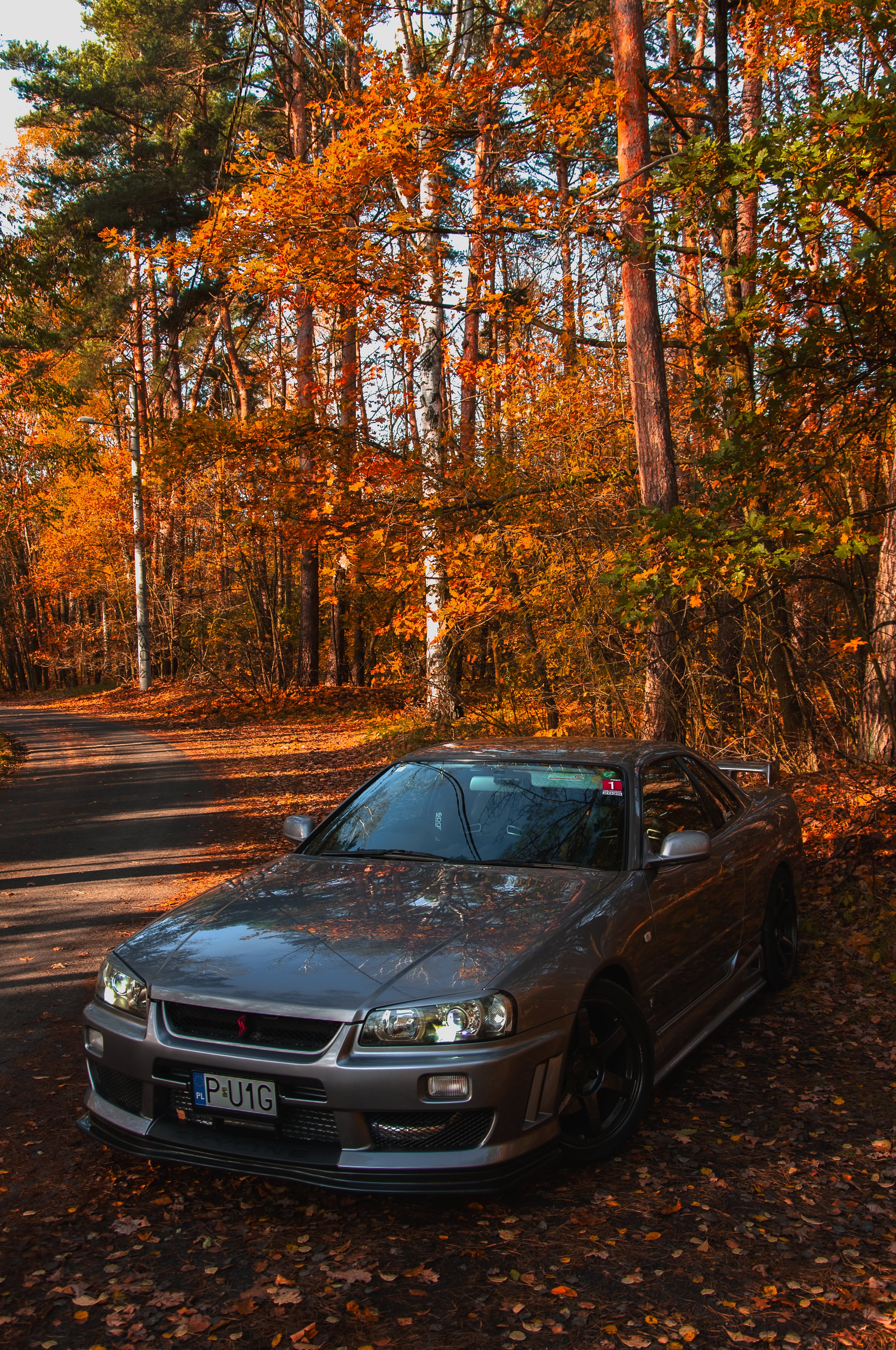 autumn nissan skyline r34 gtt