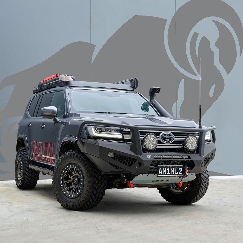 #Offroad #Animals #Predator #Toro #Choosing #Bull #Bar #4x4