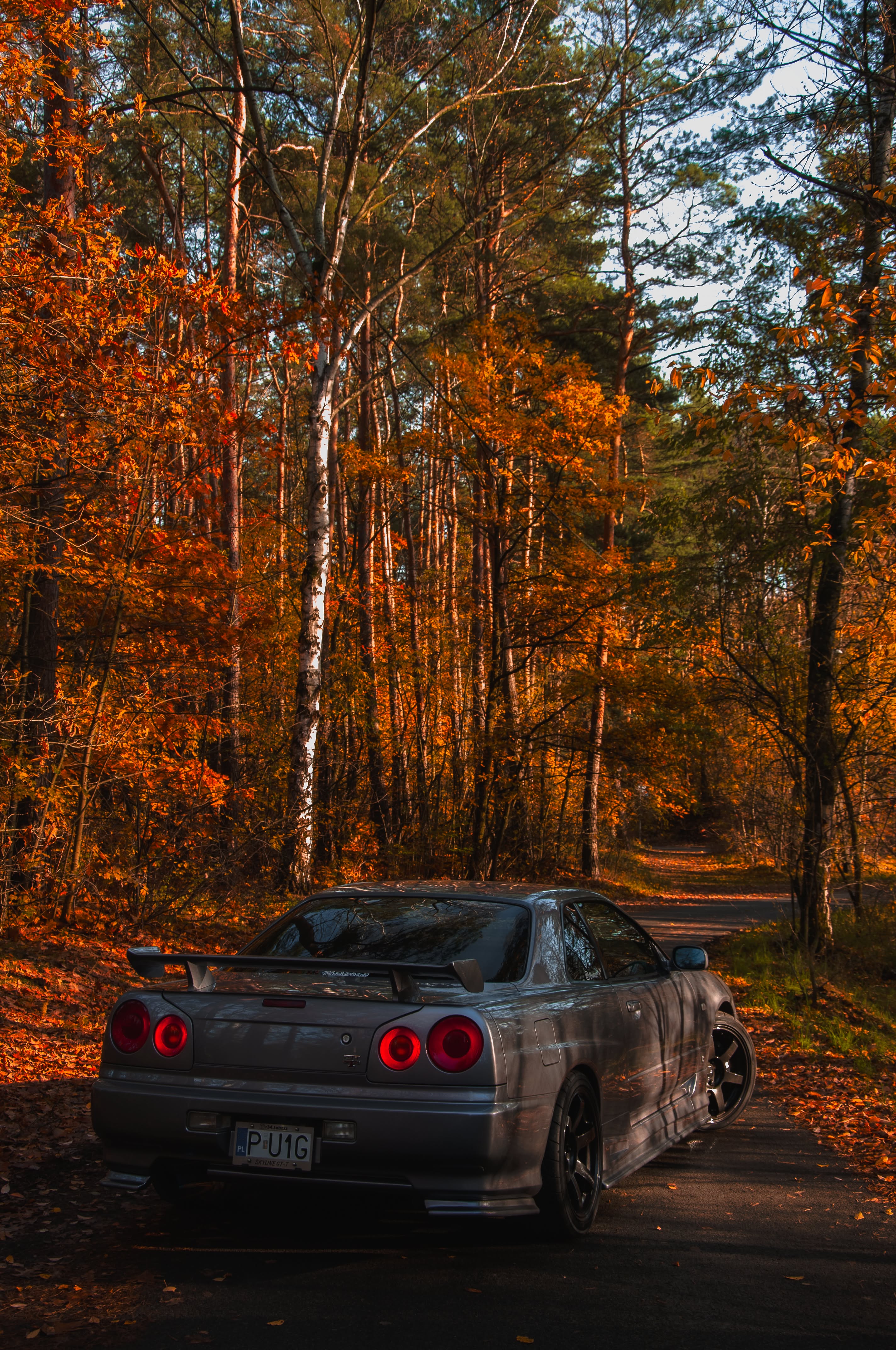 autumn nissan skyline r34 gtt