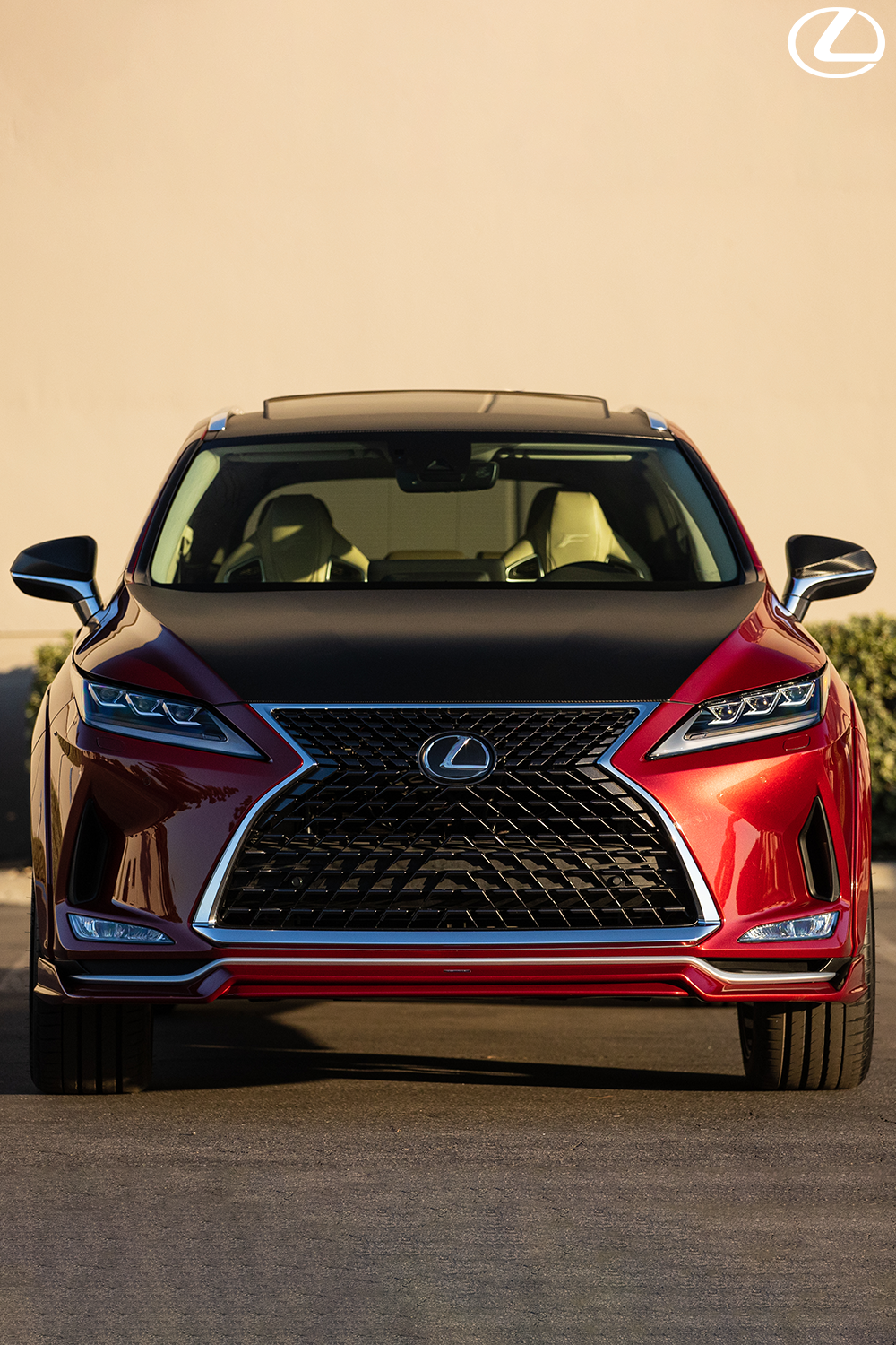 #Lexus #Pleasantly #Powerful