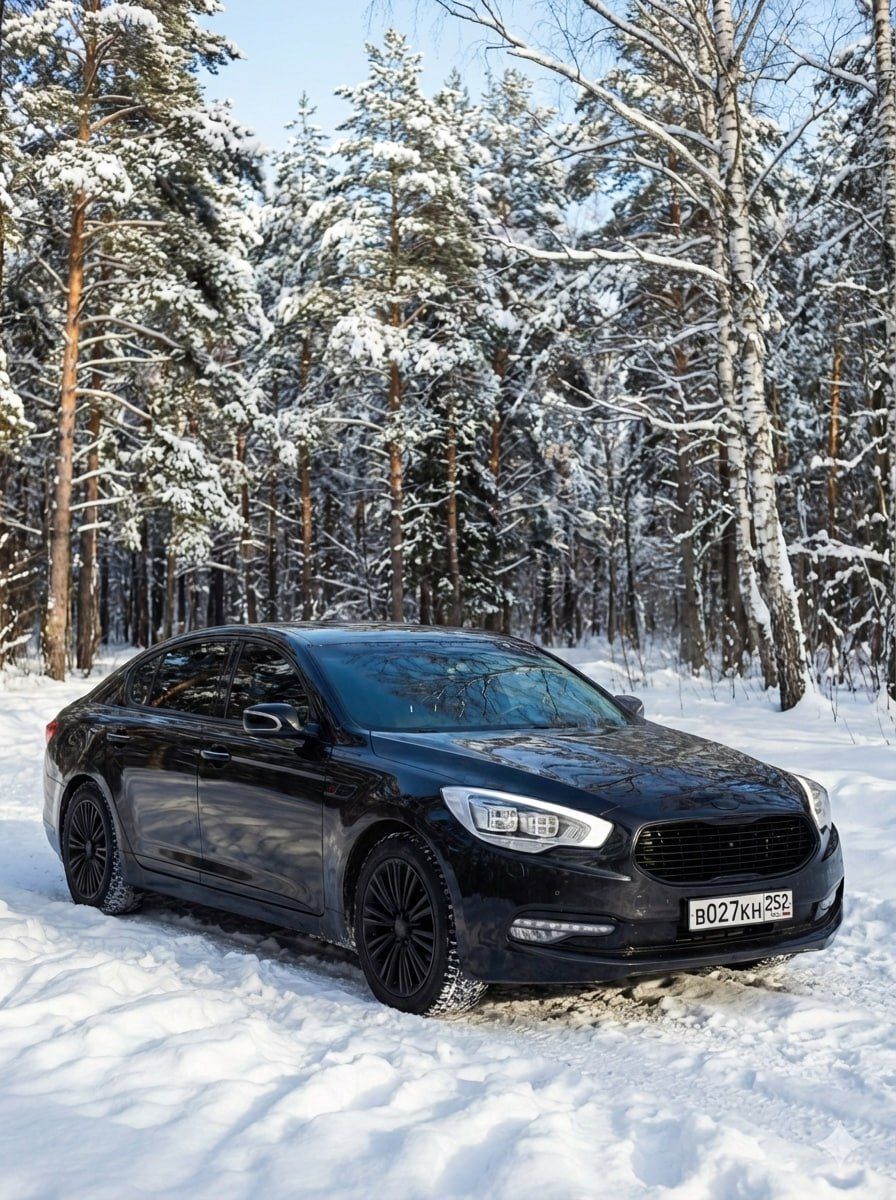 #kia #quoris