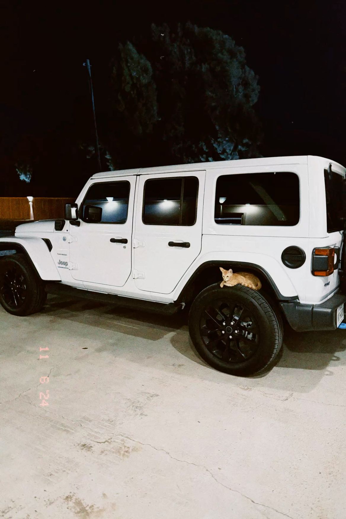 #kitty #jeep