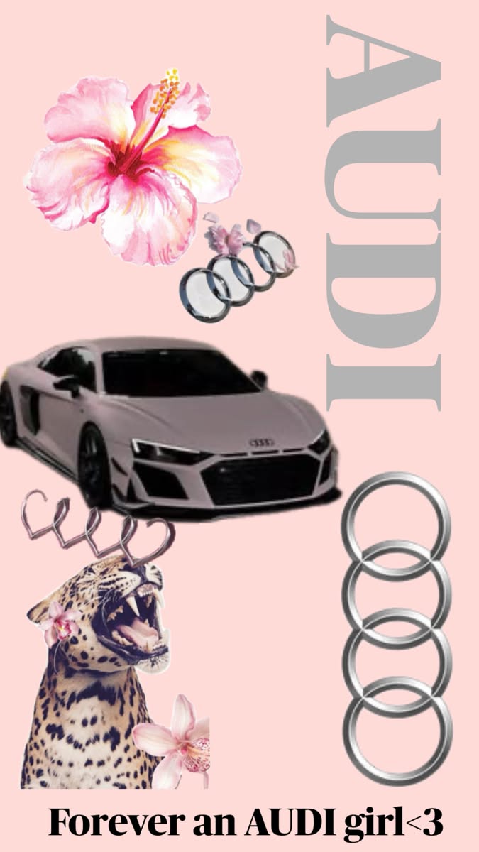 #AUDI3