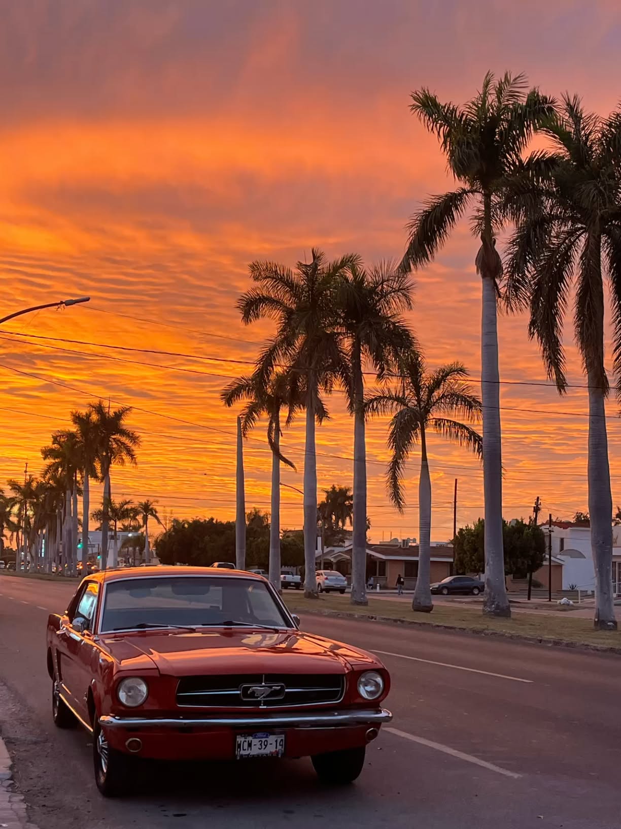 #Ford #Mustang #primera #generación