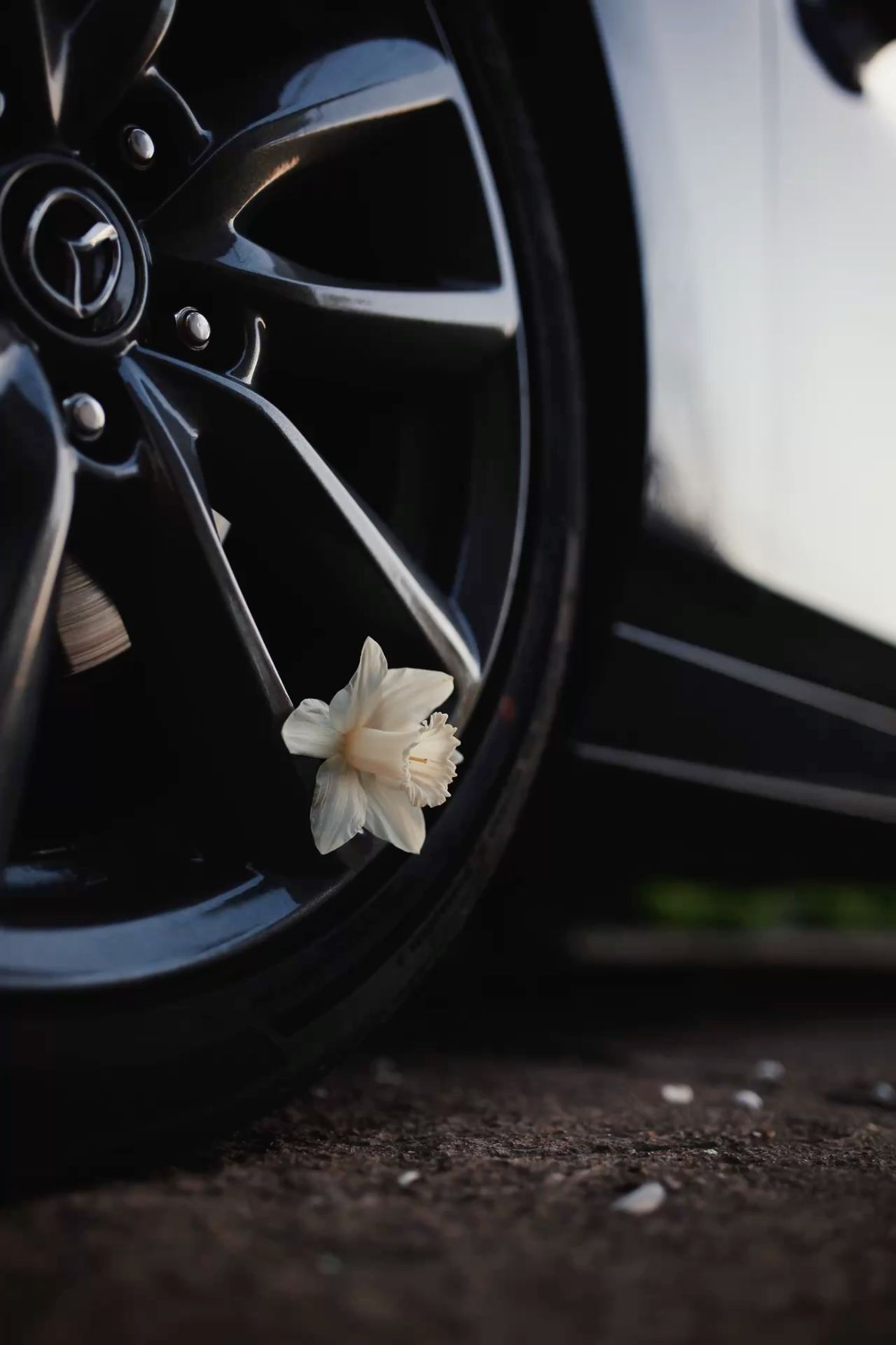#Mazda