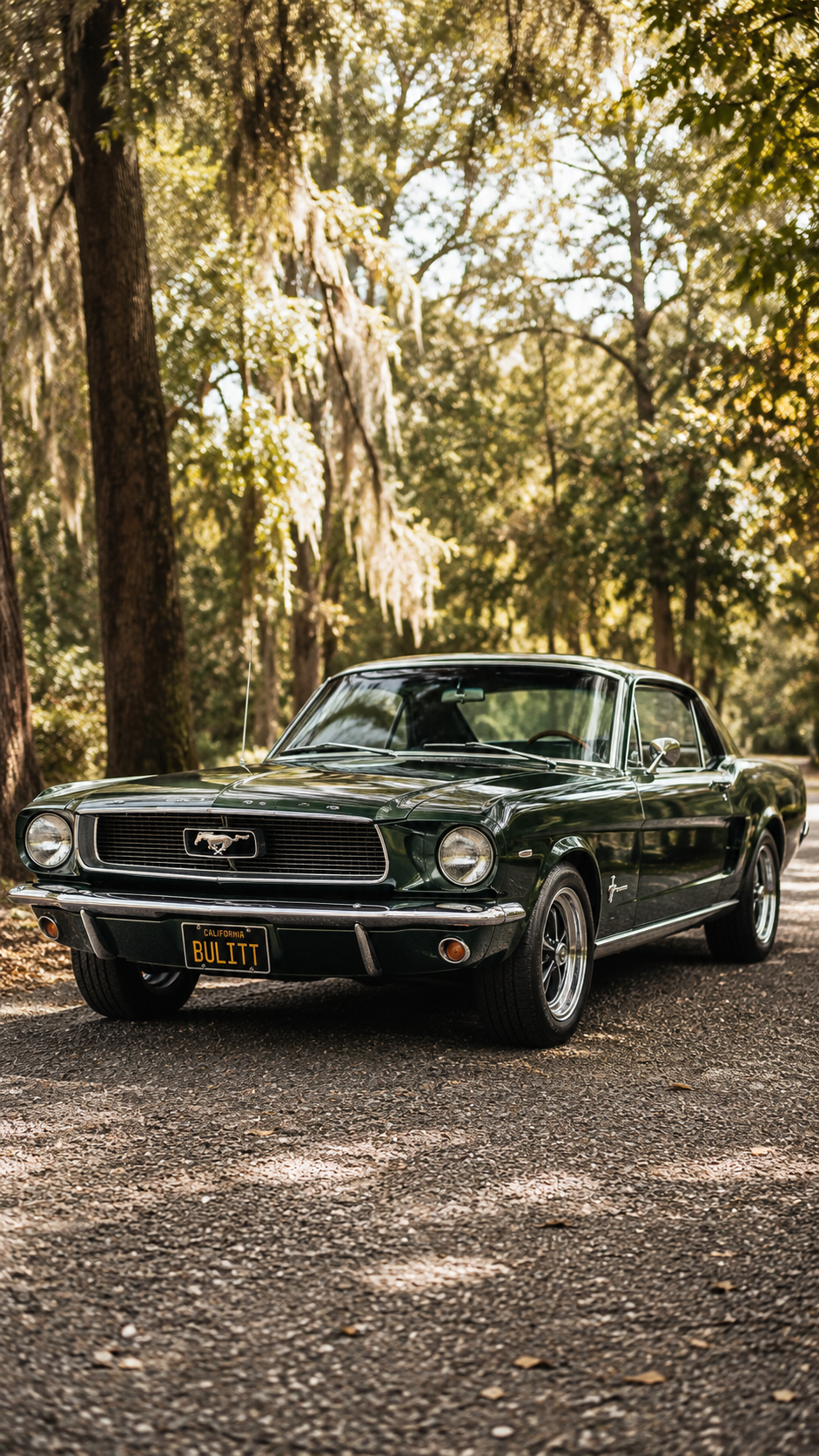 #classic #car