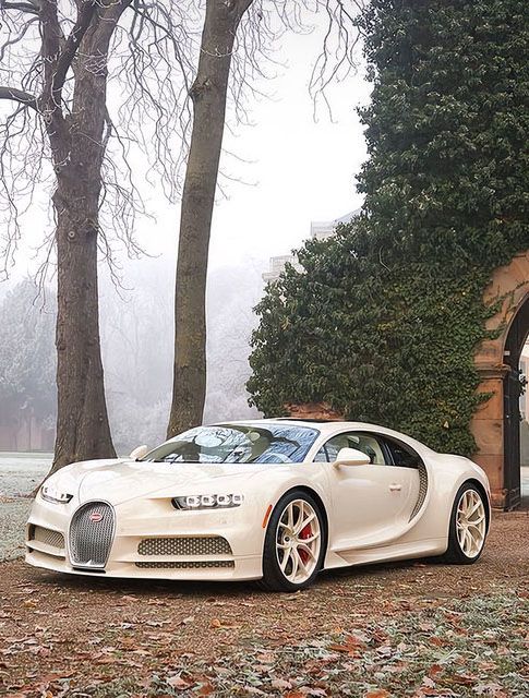 #Manny #Khoshbins #HermesEdition #Bugatti #Chiron