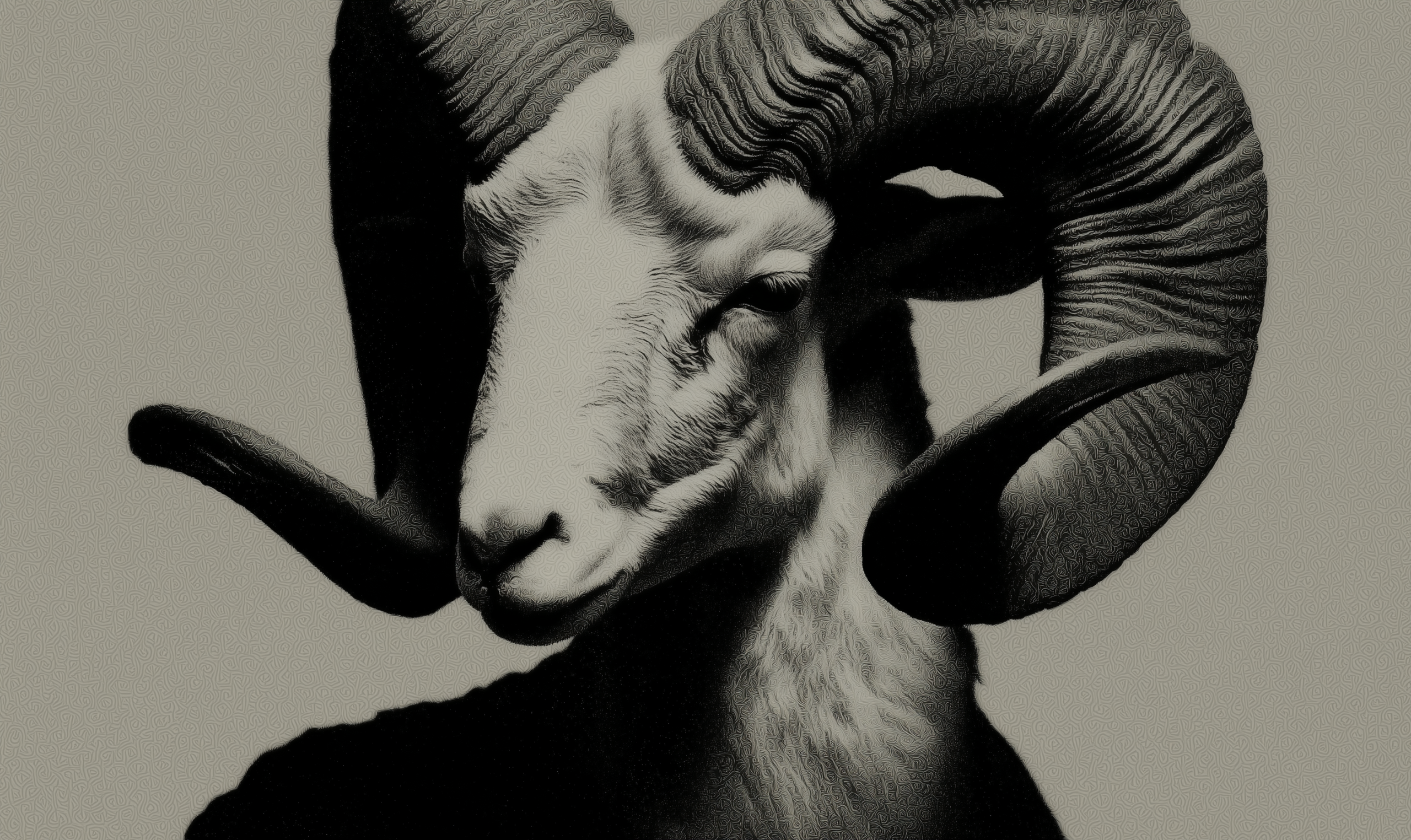 #Midnight #Ram
